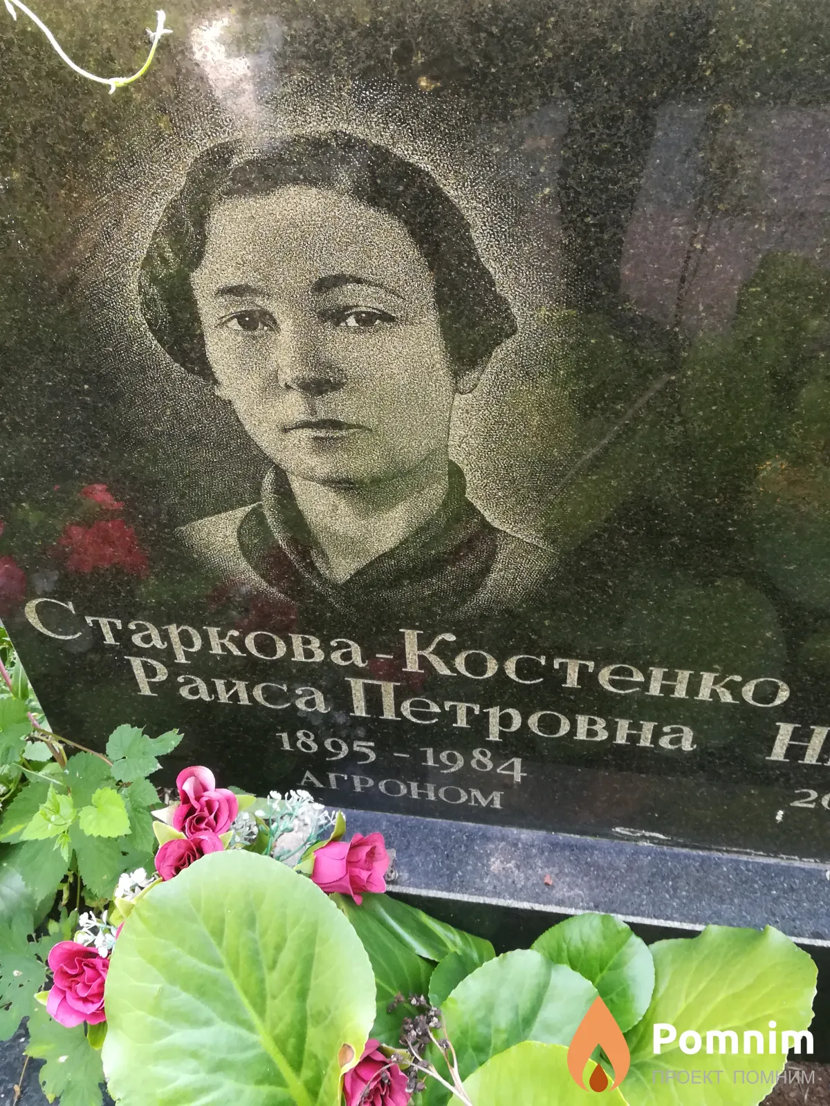 Старкова-Костенко Раиса Петровна