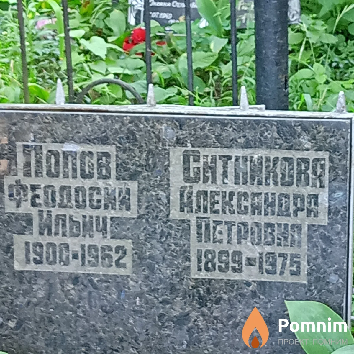 Ситникова Александра Петровна