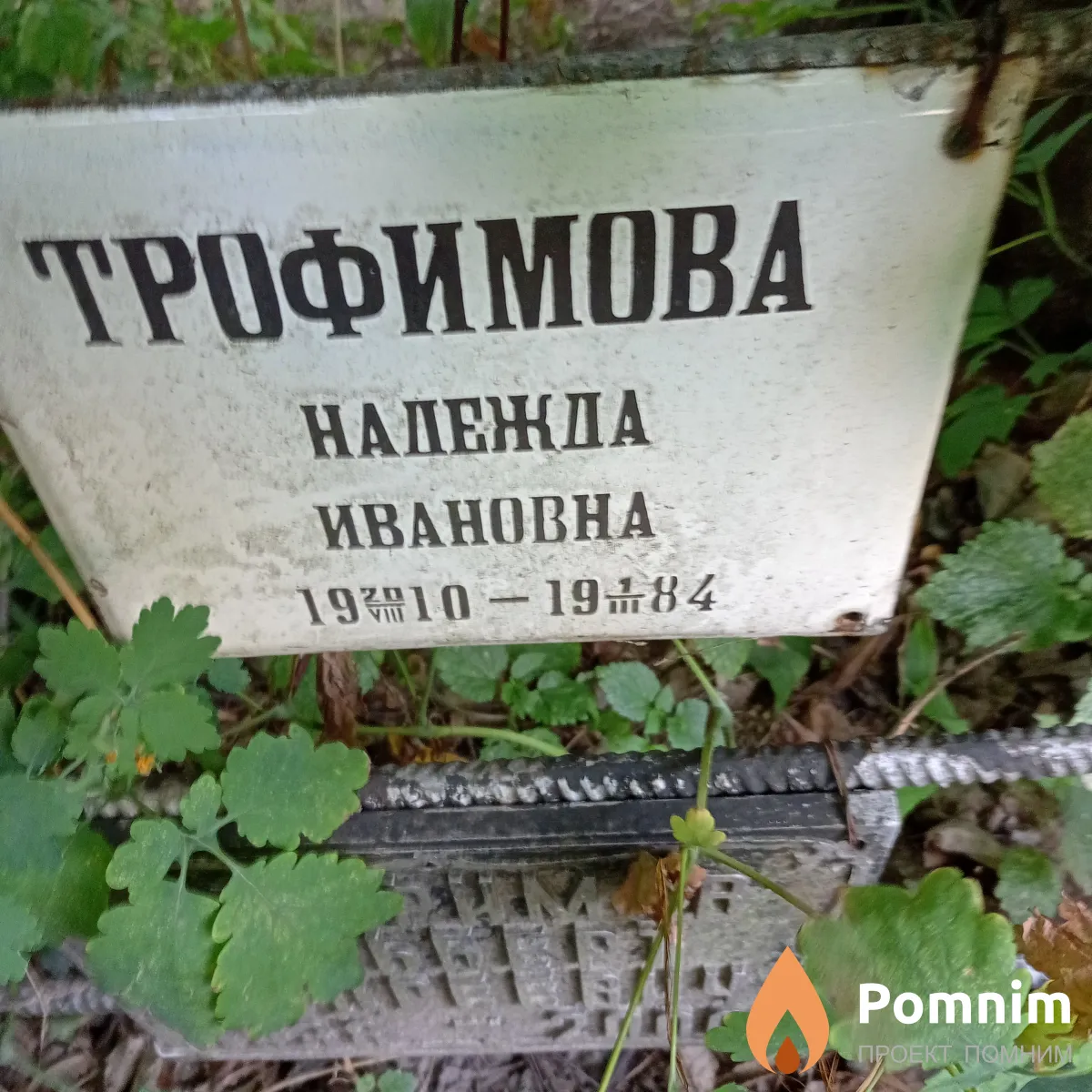 Трофимова Надежда Ивановна