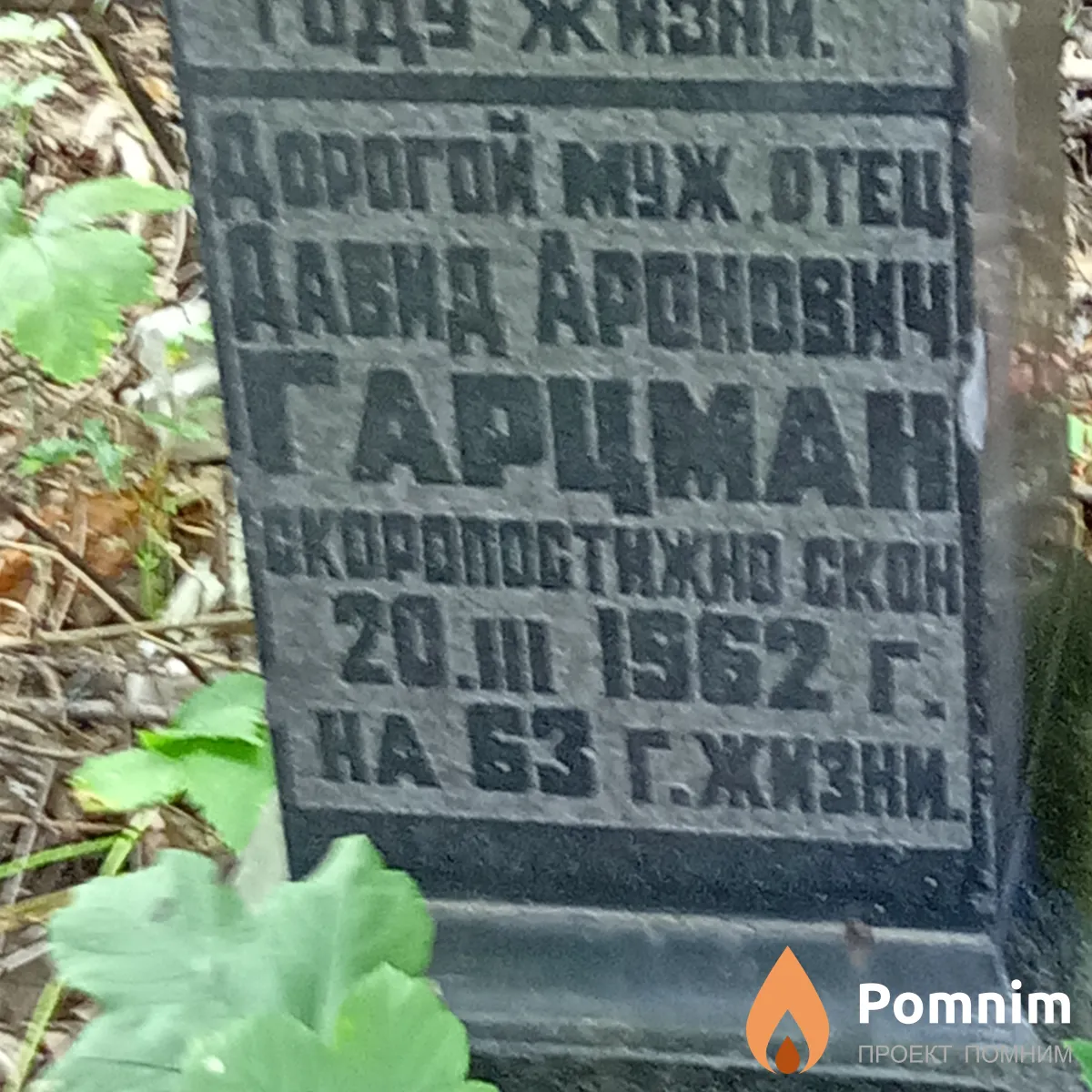Гарцман Давид Аронович