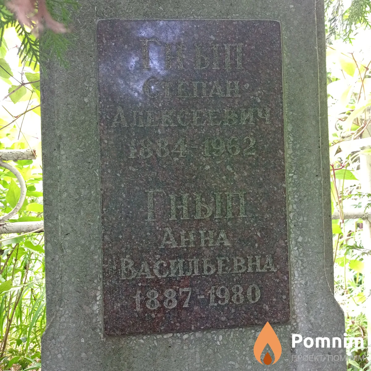 Гнып Анна Васильевна
