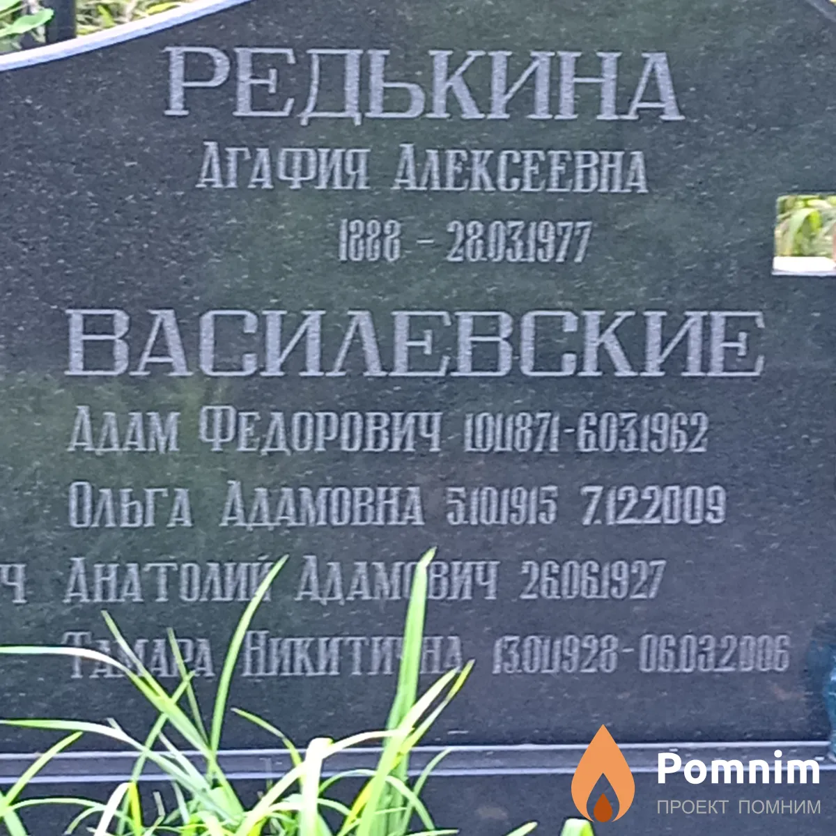 Василевская Тамара Никитична