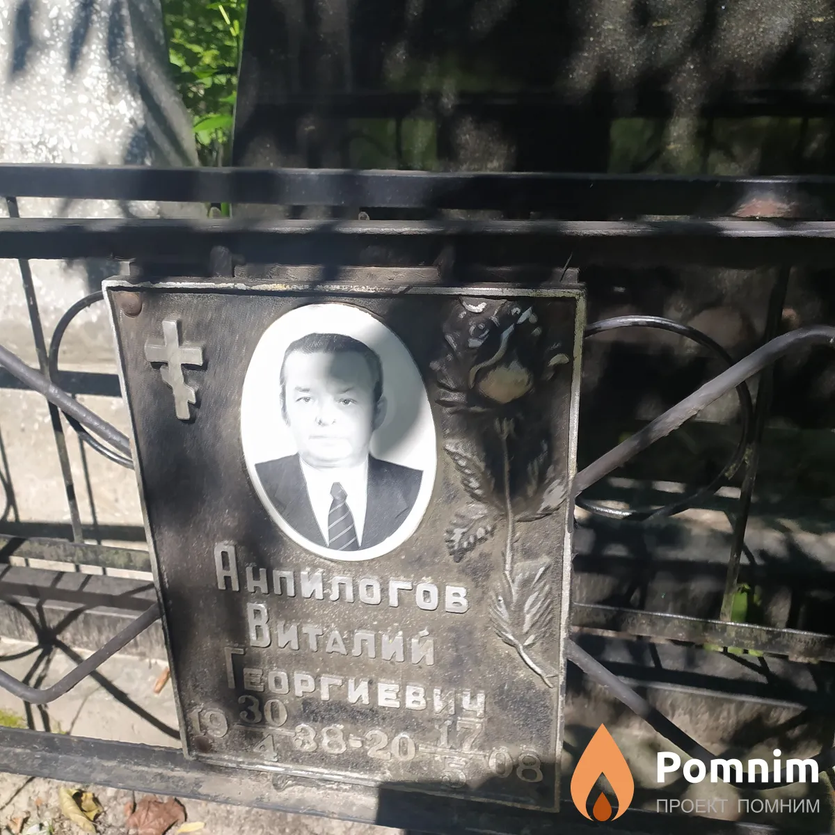 Анпилогов Виталий Георгиевич