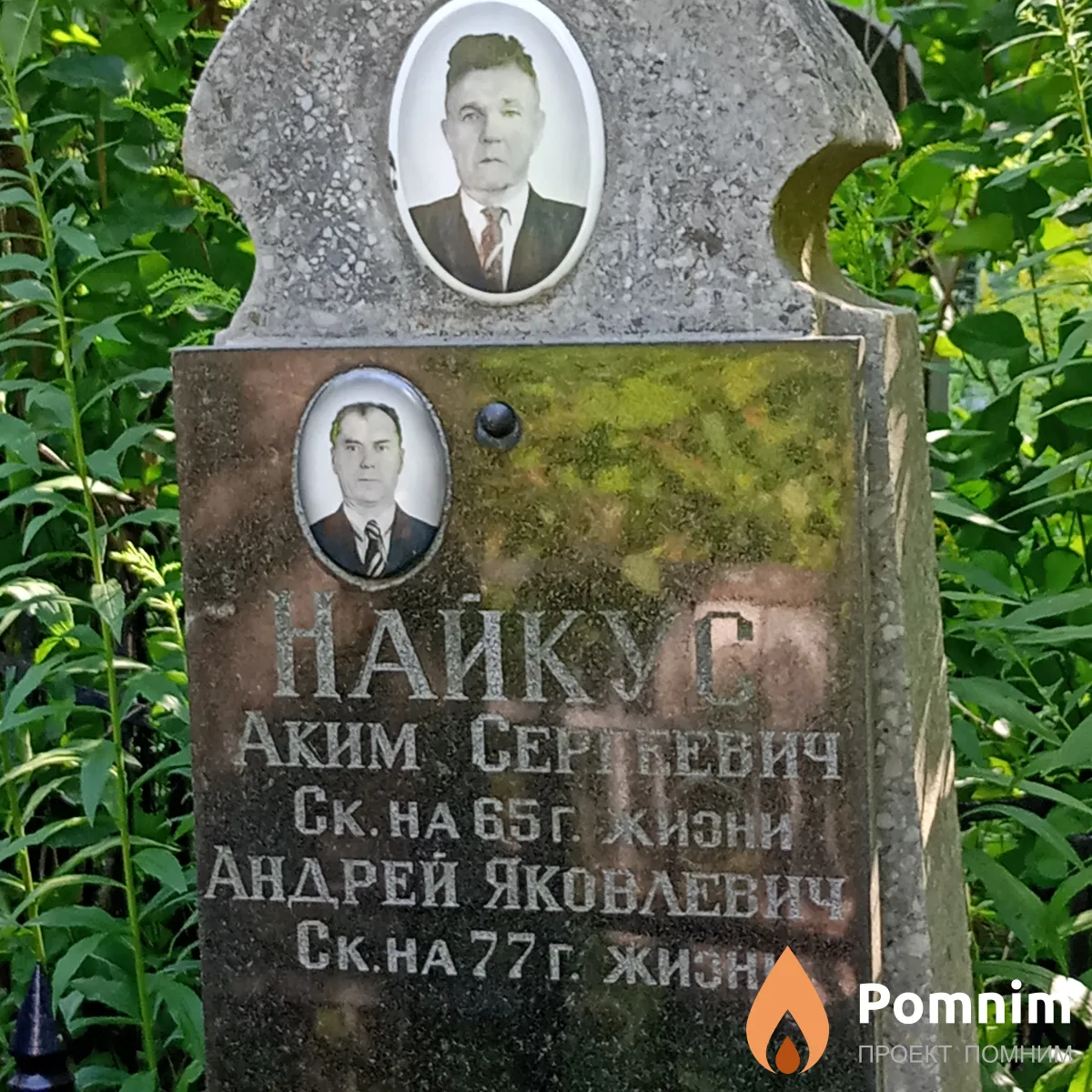 Найкус Андрей Яковлевич