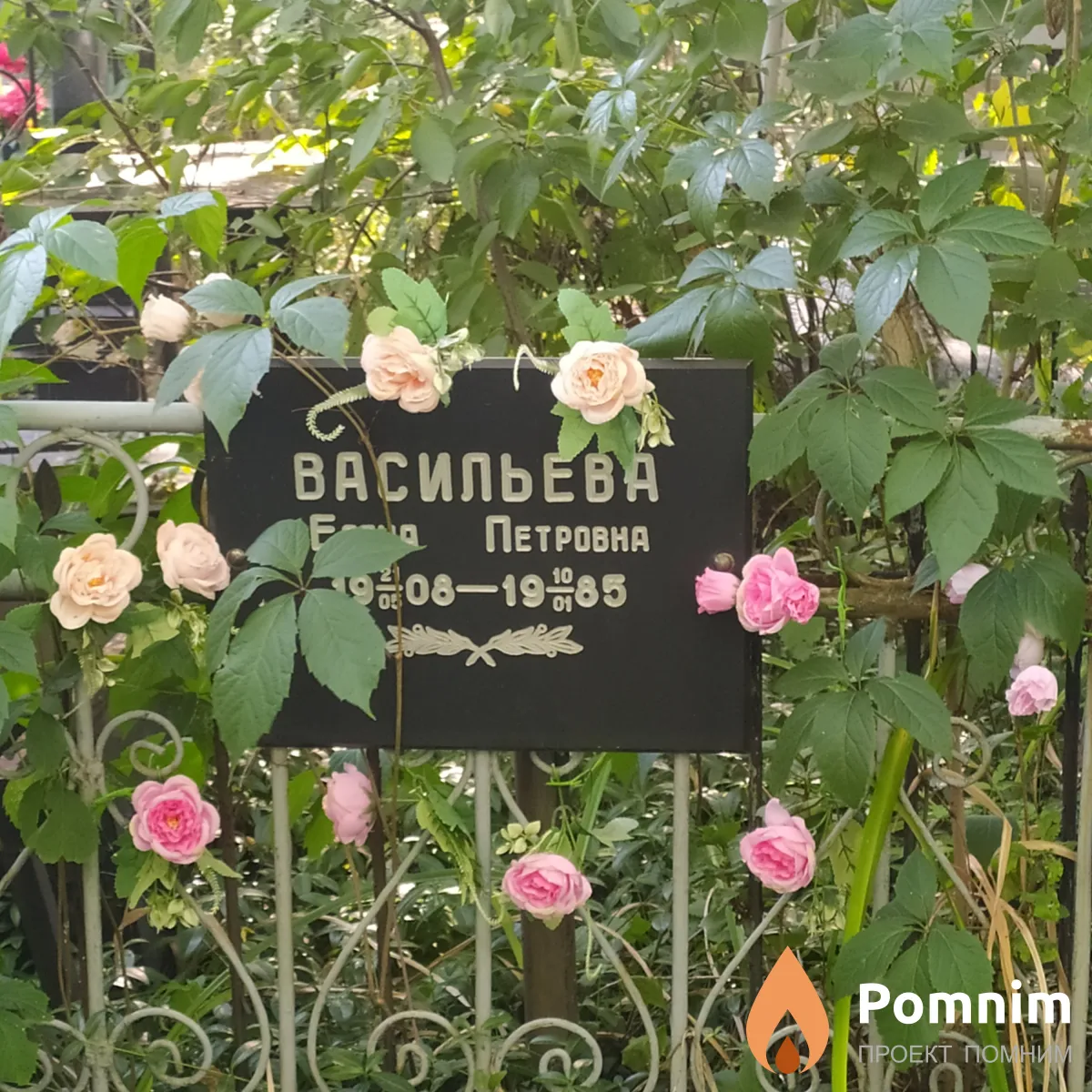 Васильева Елена Петровна
