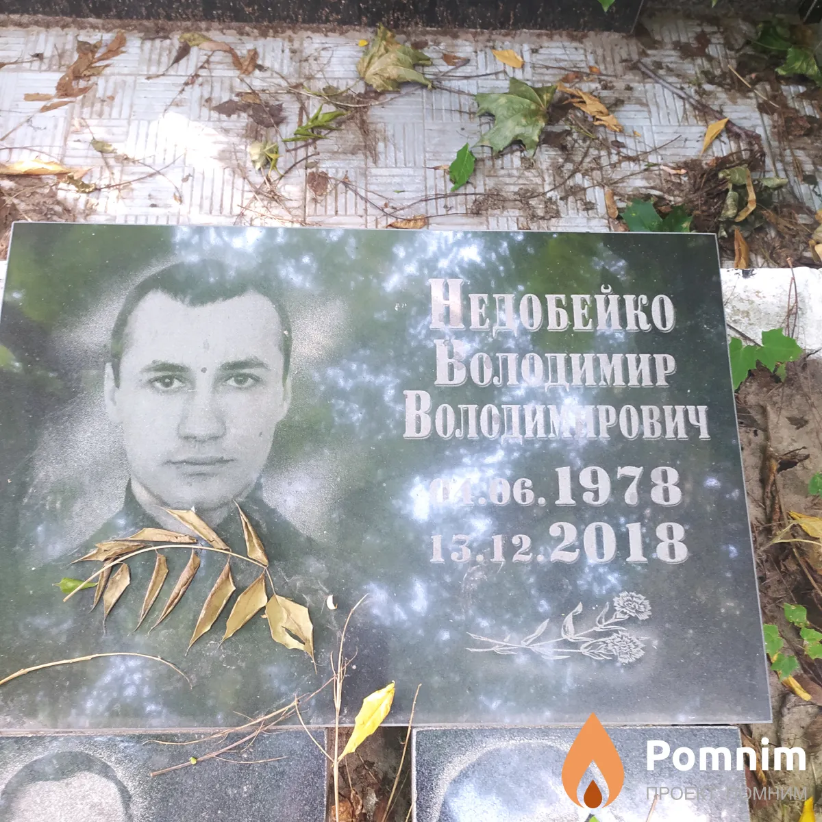 Недобейко Владимир Владимирович