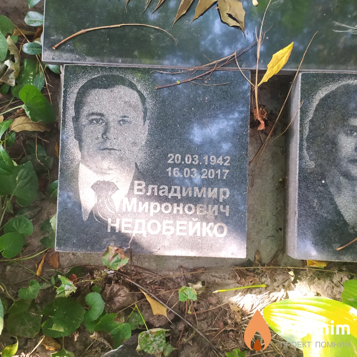 Недобейко Владимир Миронович