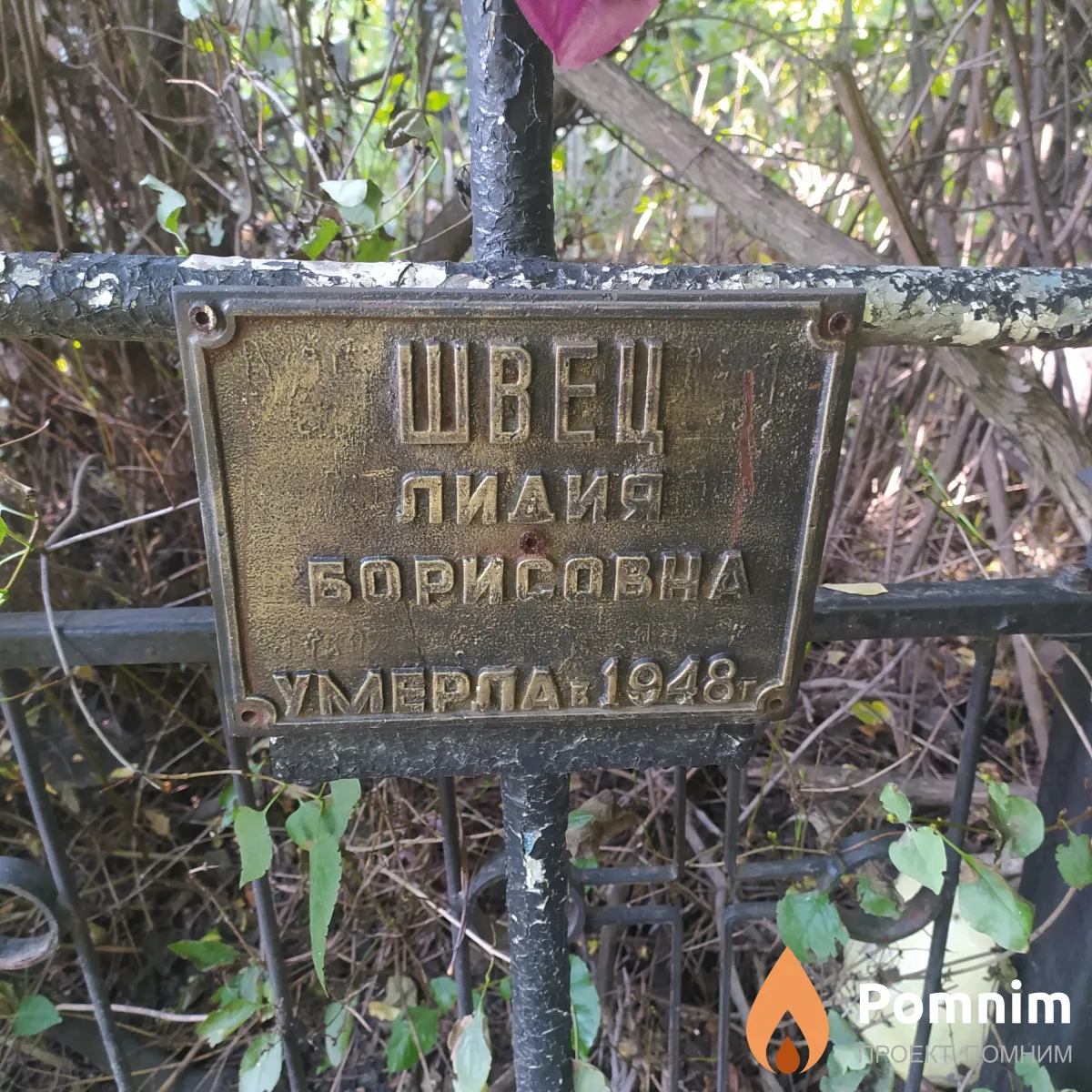 Швец Лидия Борисовна