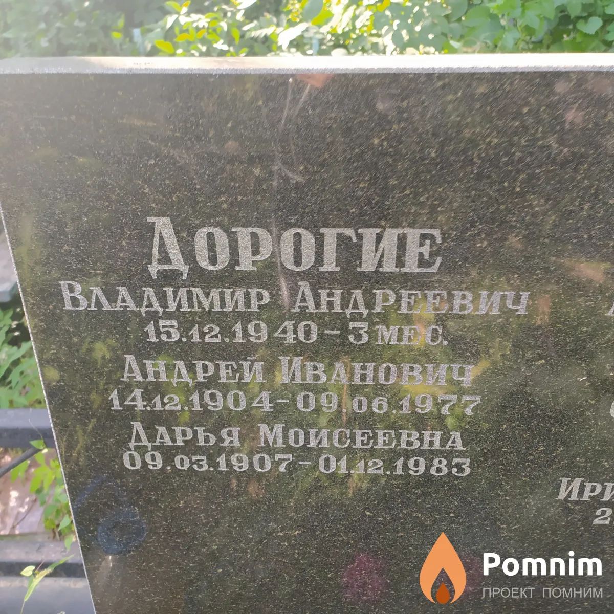 Дорогой Андрей Иванович