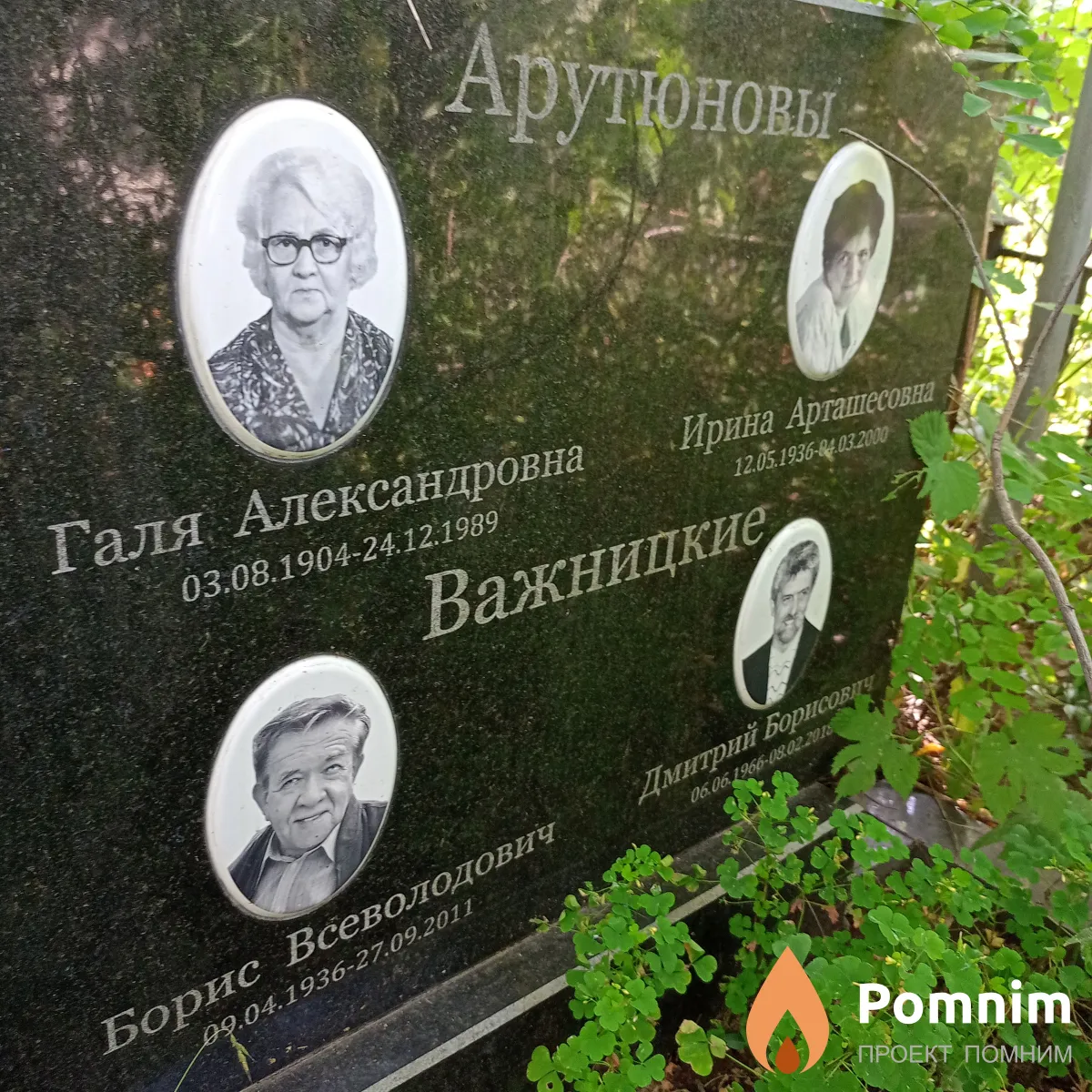 Ввжницкий Дмитрий Борисович