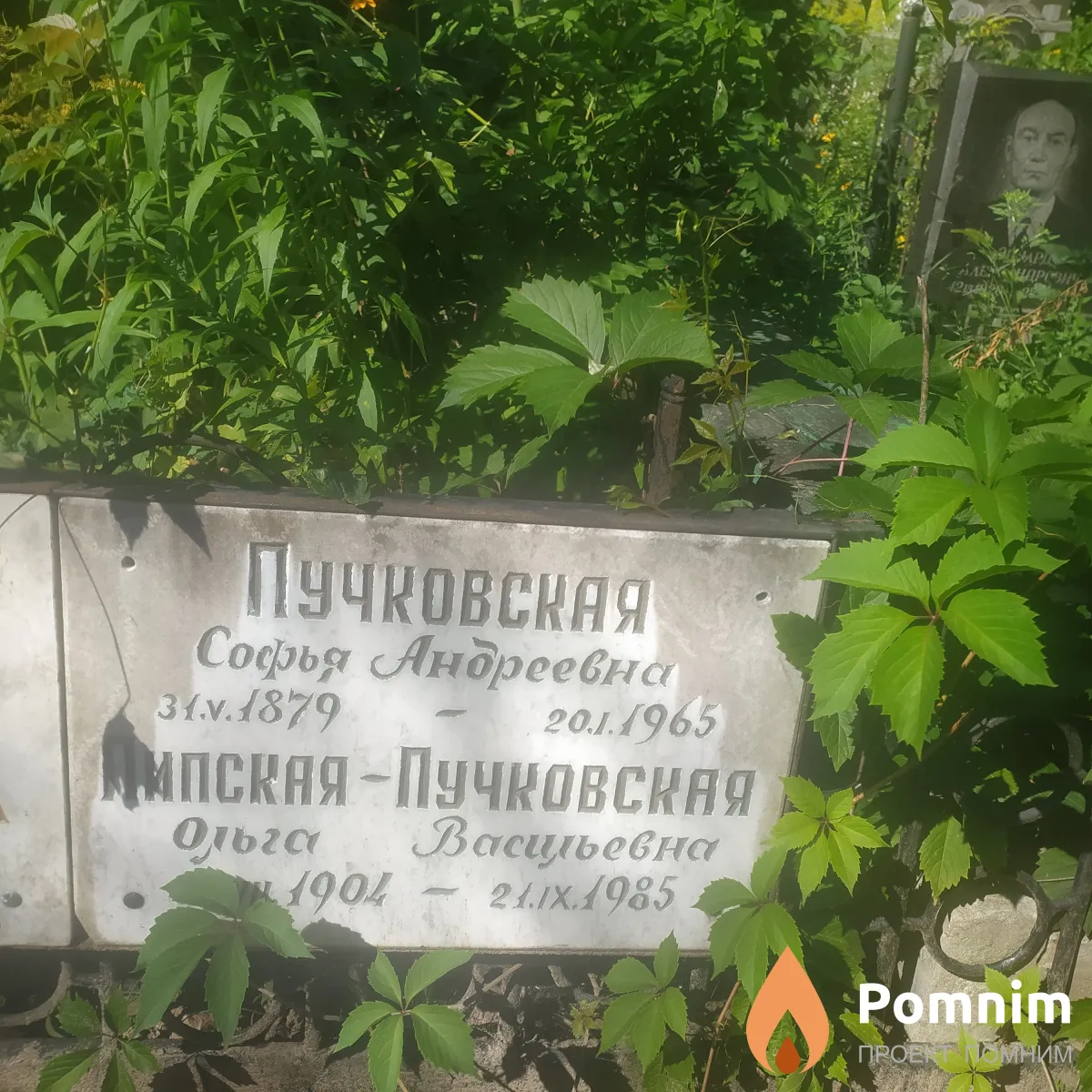 Пучковская София Андреевна