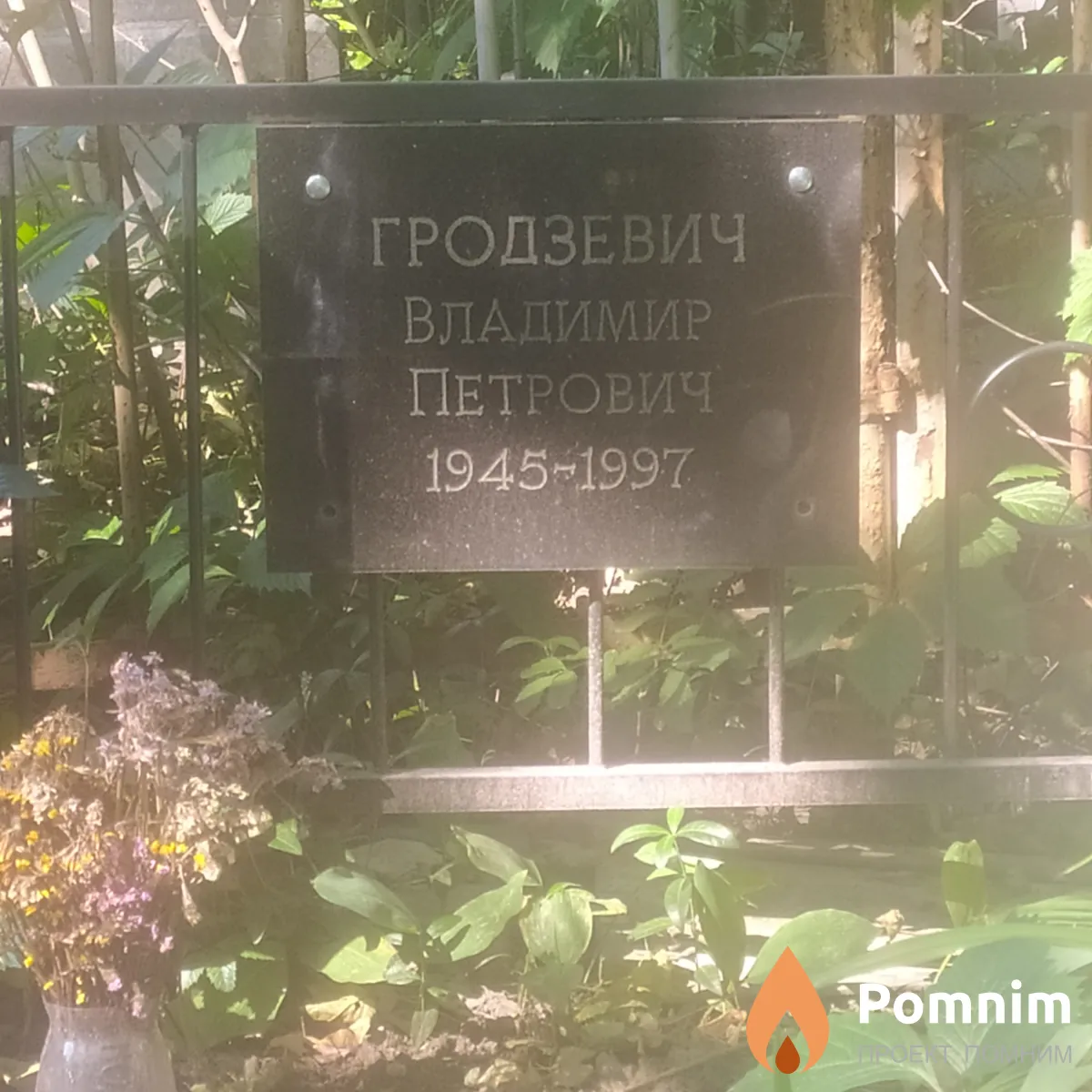 Гродзевич Владимир Петрович