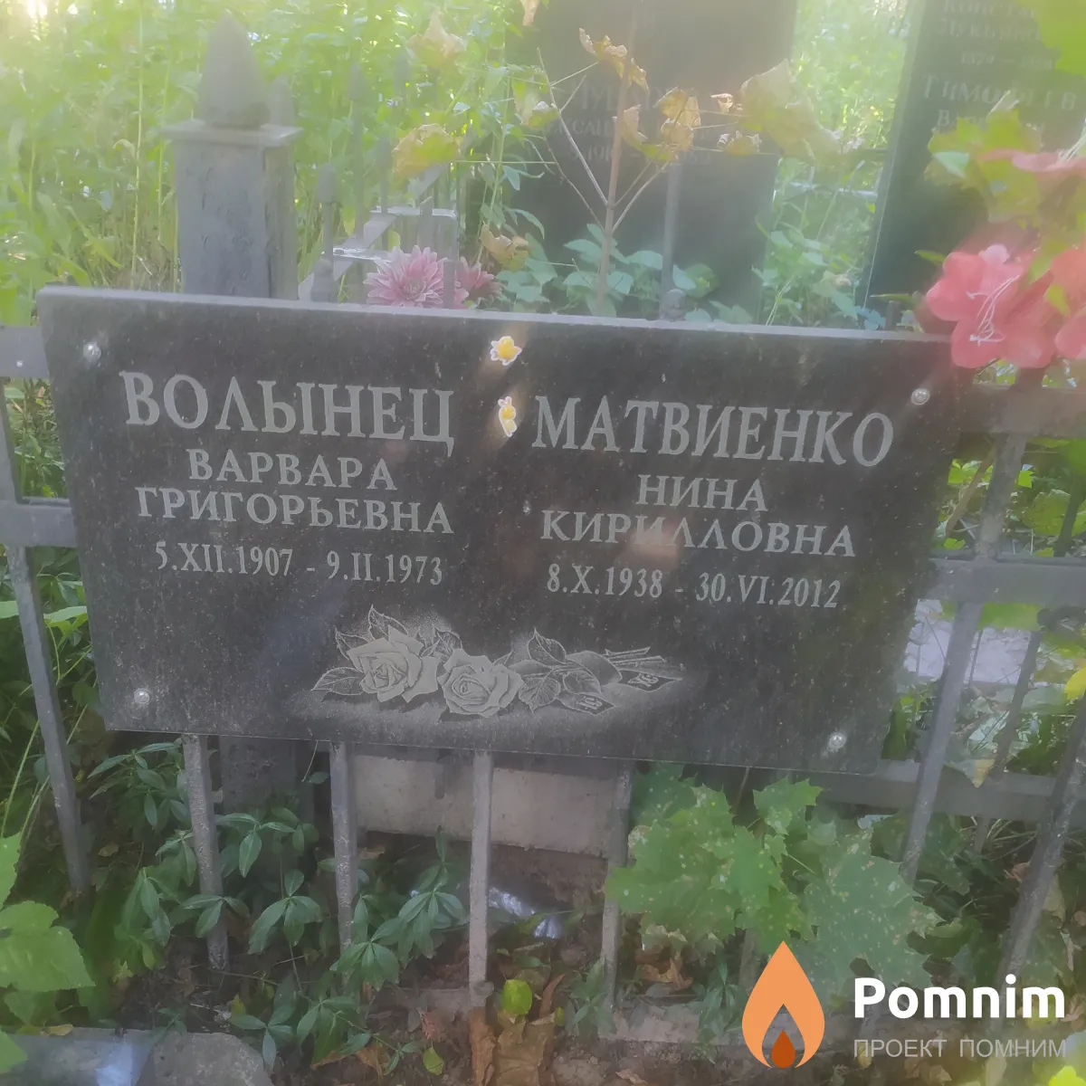 Матвиенко Нина Кирилловна