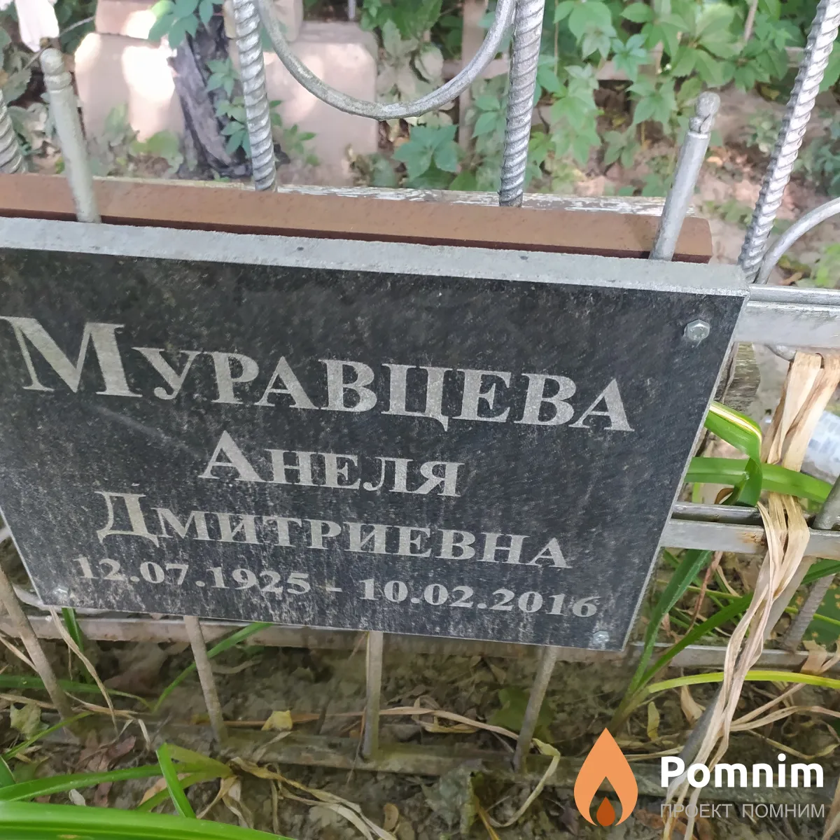 Муравцева Анеля Дмитриевна