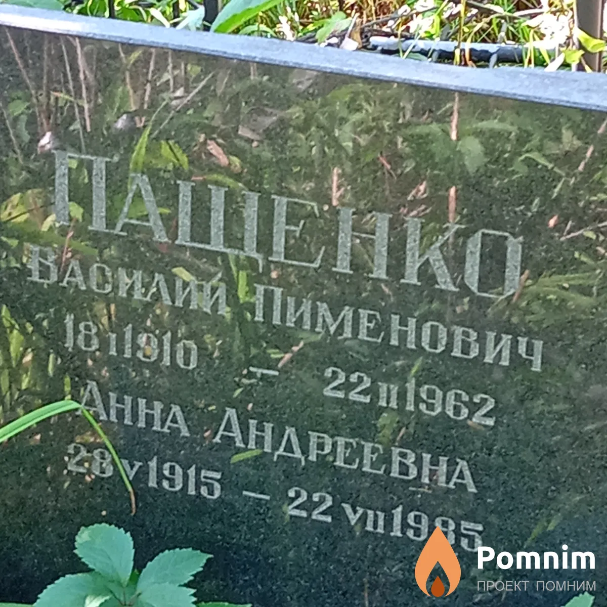 Пащенко Анна Андреевна