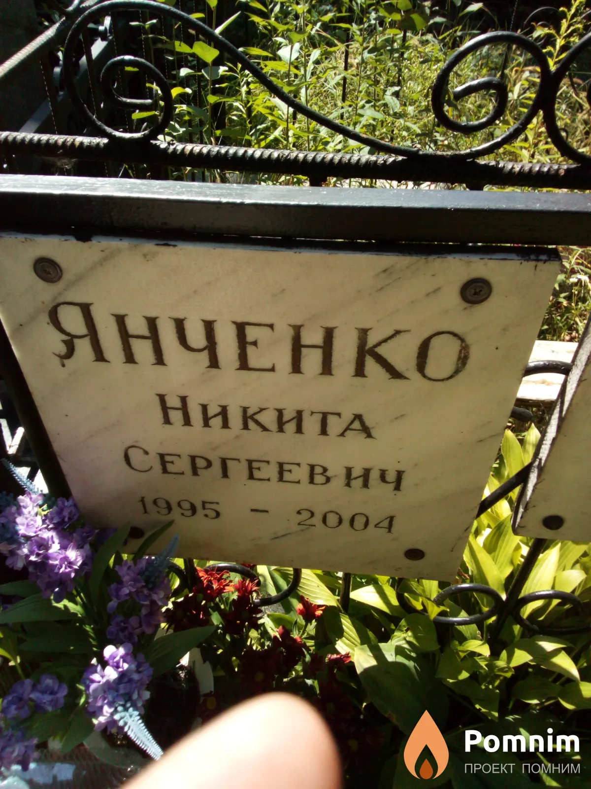 Янченко Никита Сергеевич
