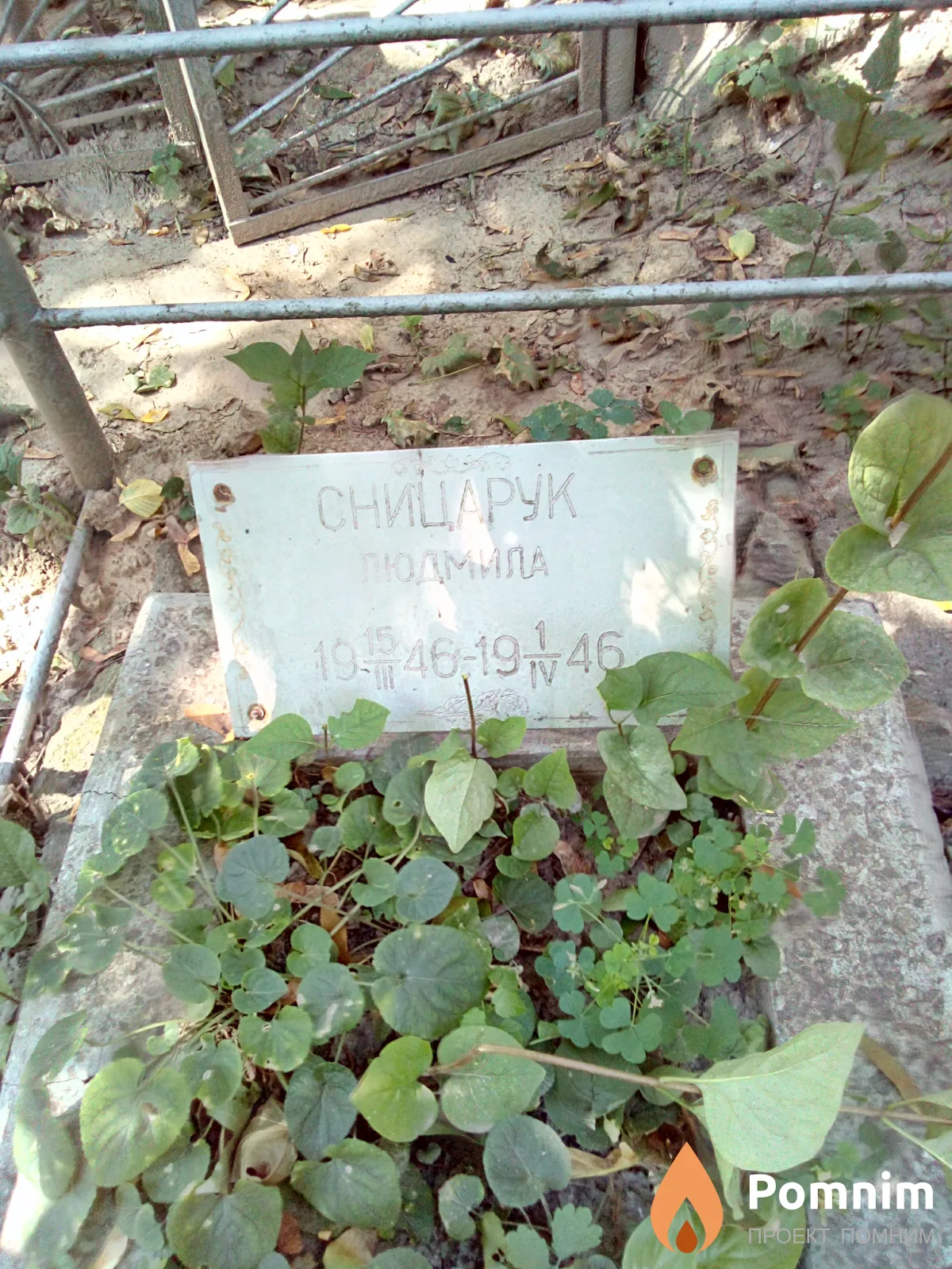 Сницарук Пюдмила