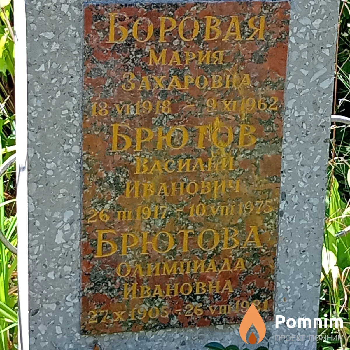 Брютова Олимпиада Ивановна