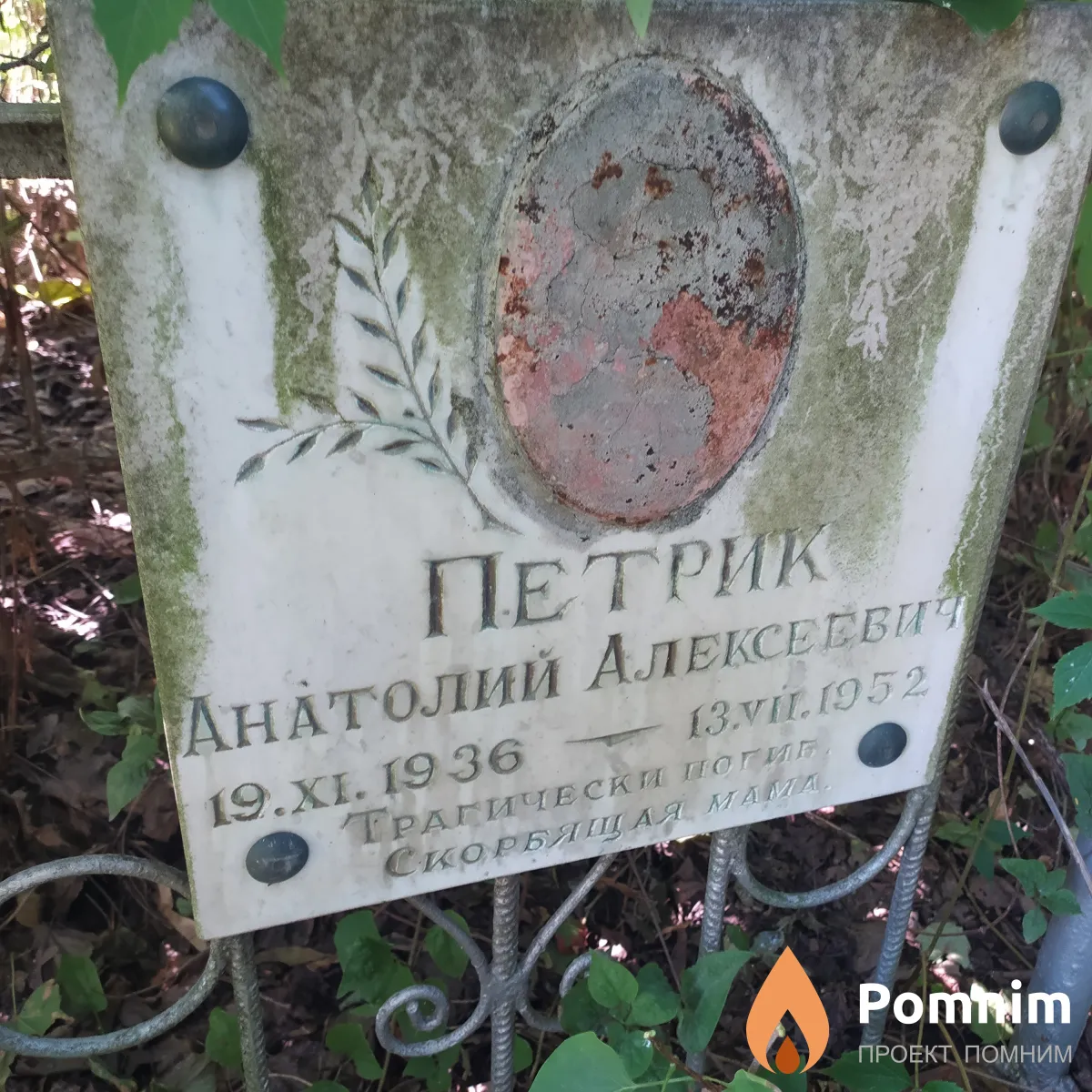 Петрик Анатолий Алексеевич