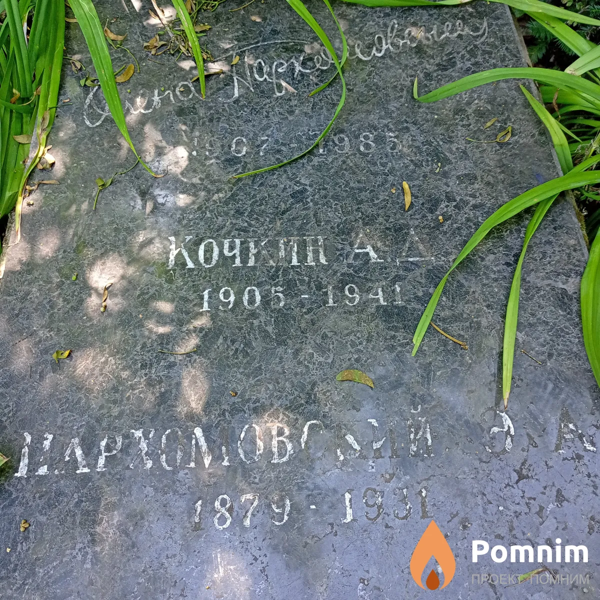 Пархомовский Э А