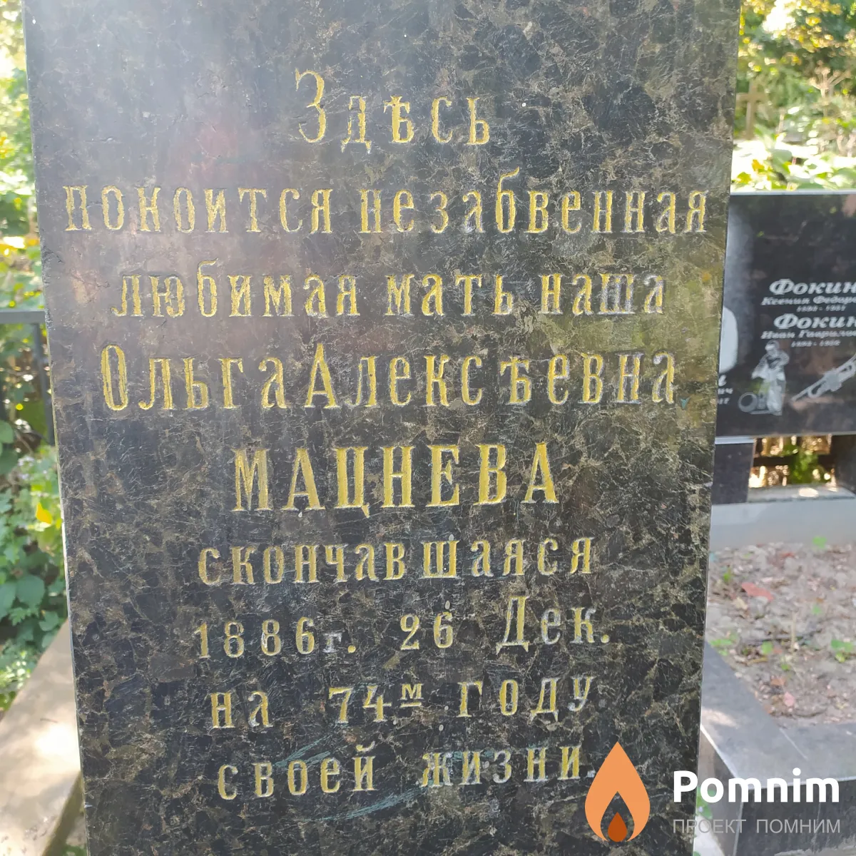 Мацнева Ольга Алексеевна