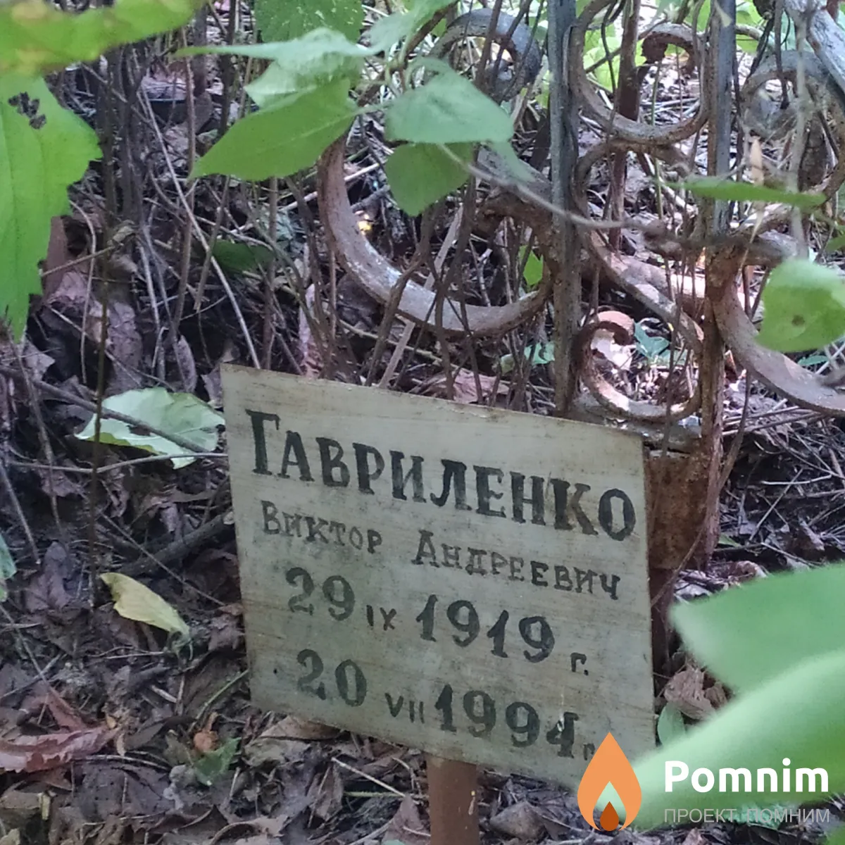 Гавриленко Виктор Андреевич
