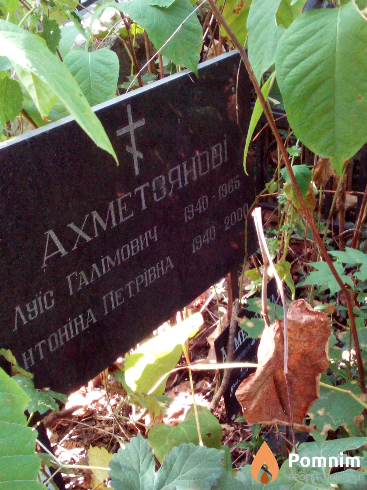 Ахметзянова Антонина Петровна