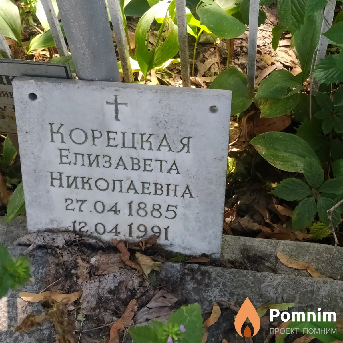 Корецкая Елизавета Николаевна