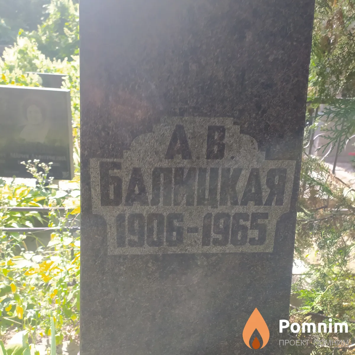 Балицкая А. В.