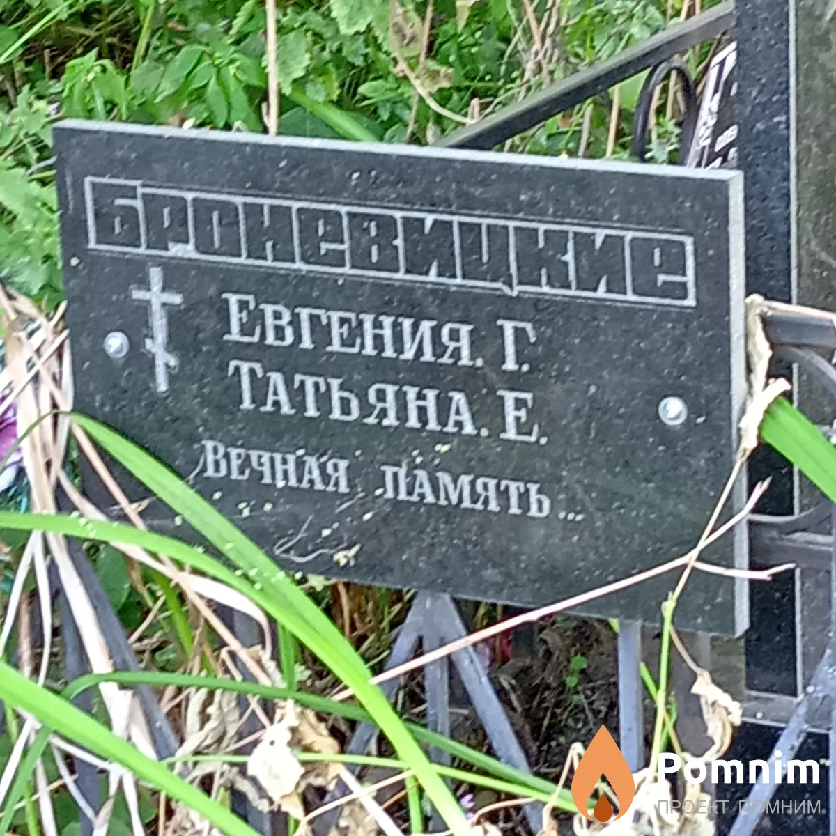 Броневицкая Татьяна Е