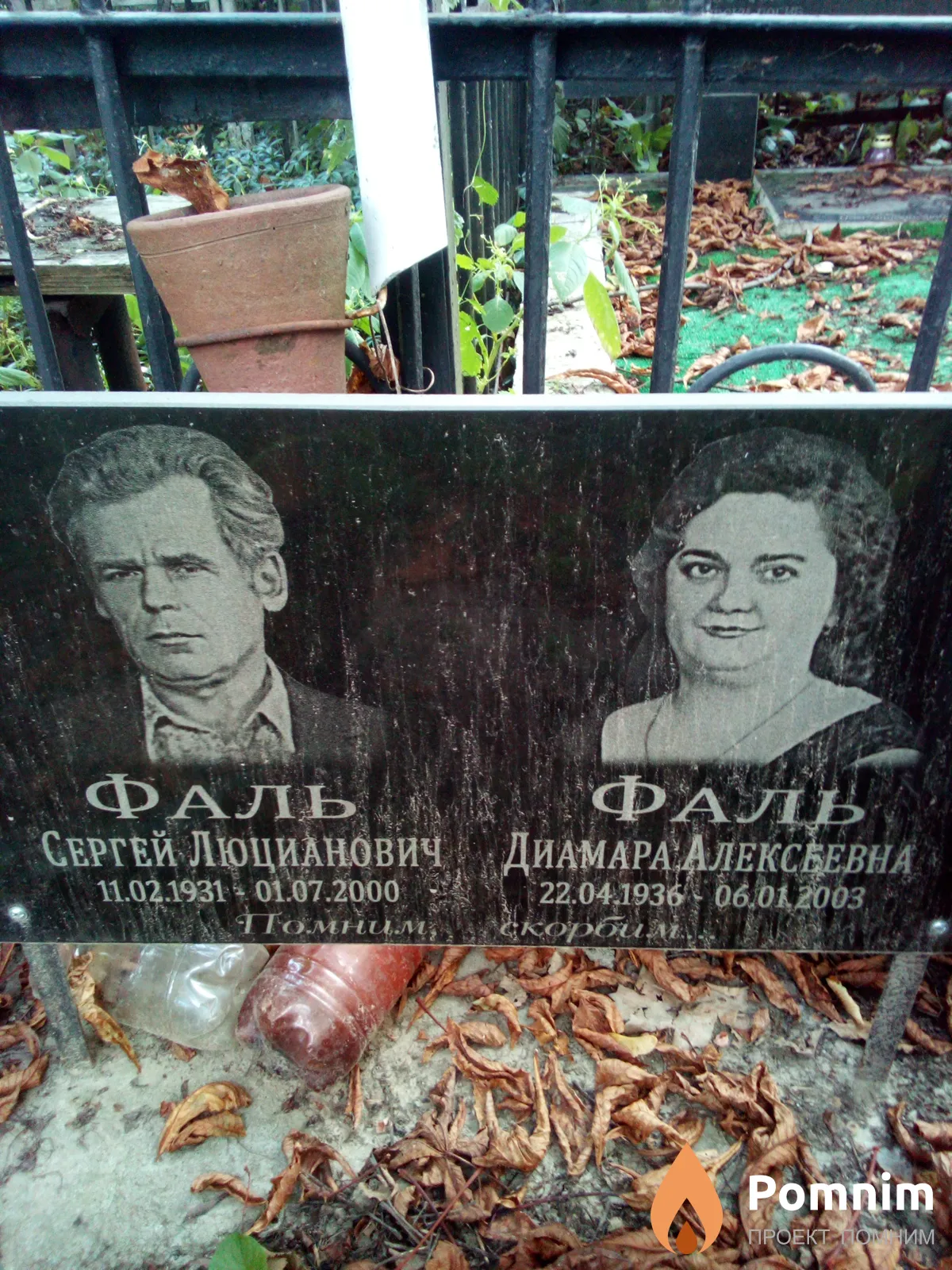 Фаль Диамара Алексеевна
