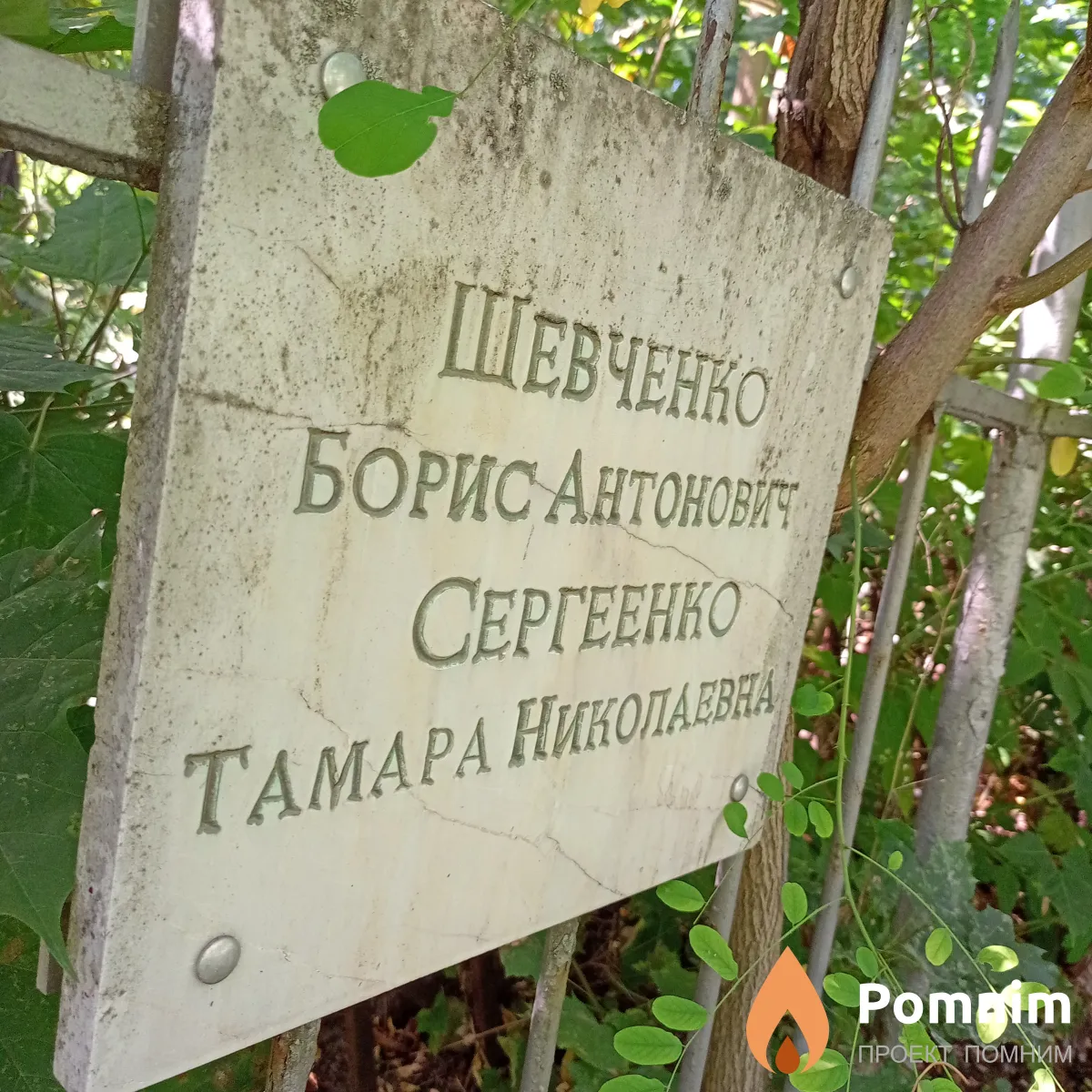 Сергеенко Тамара Николаевна