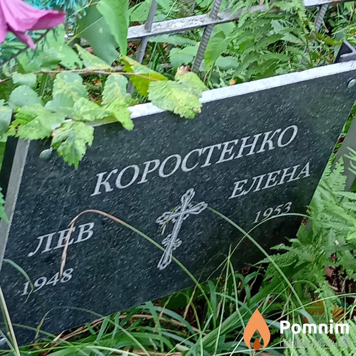 Коростенко Елена