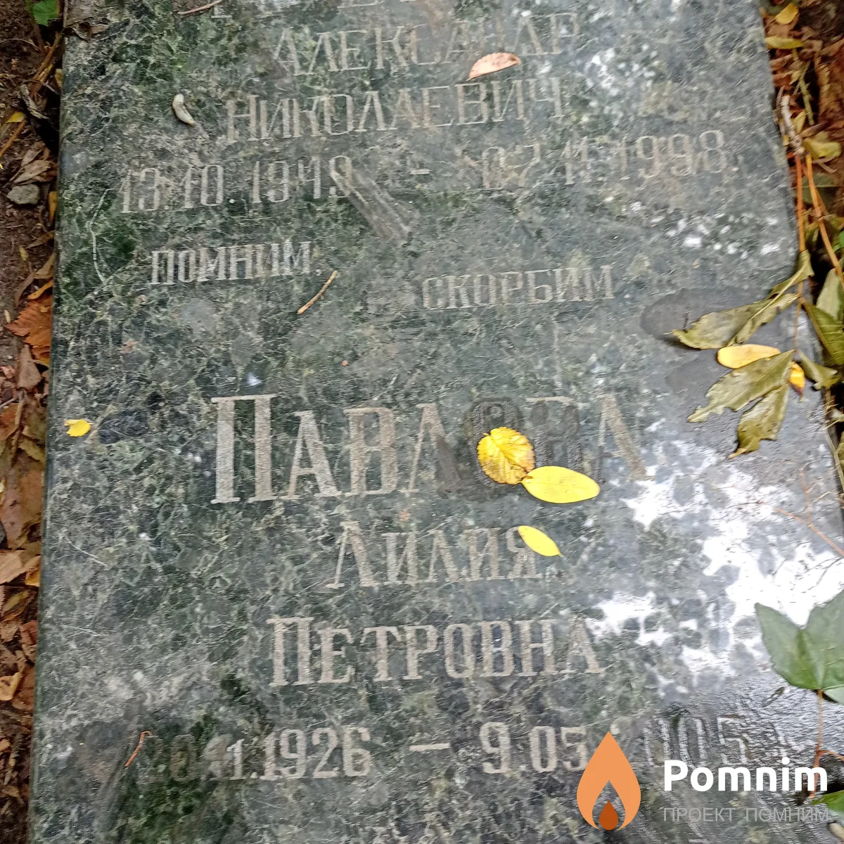 Павлова Лилия Петровна