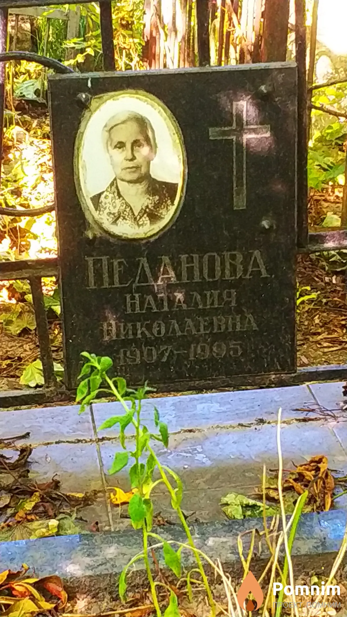 Педанова Наталия Николаевна