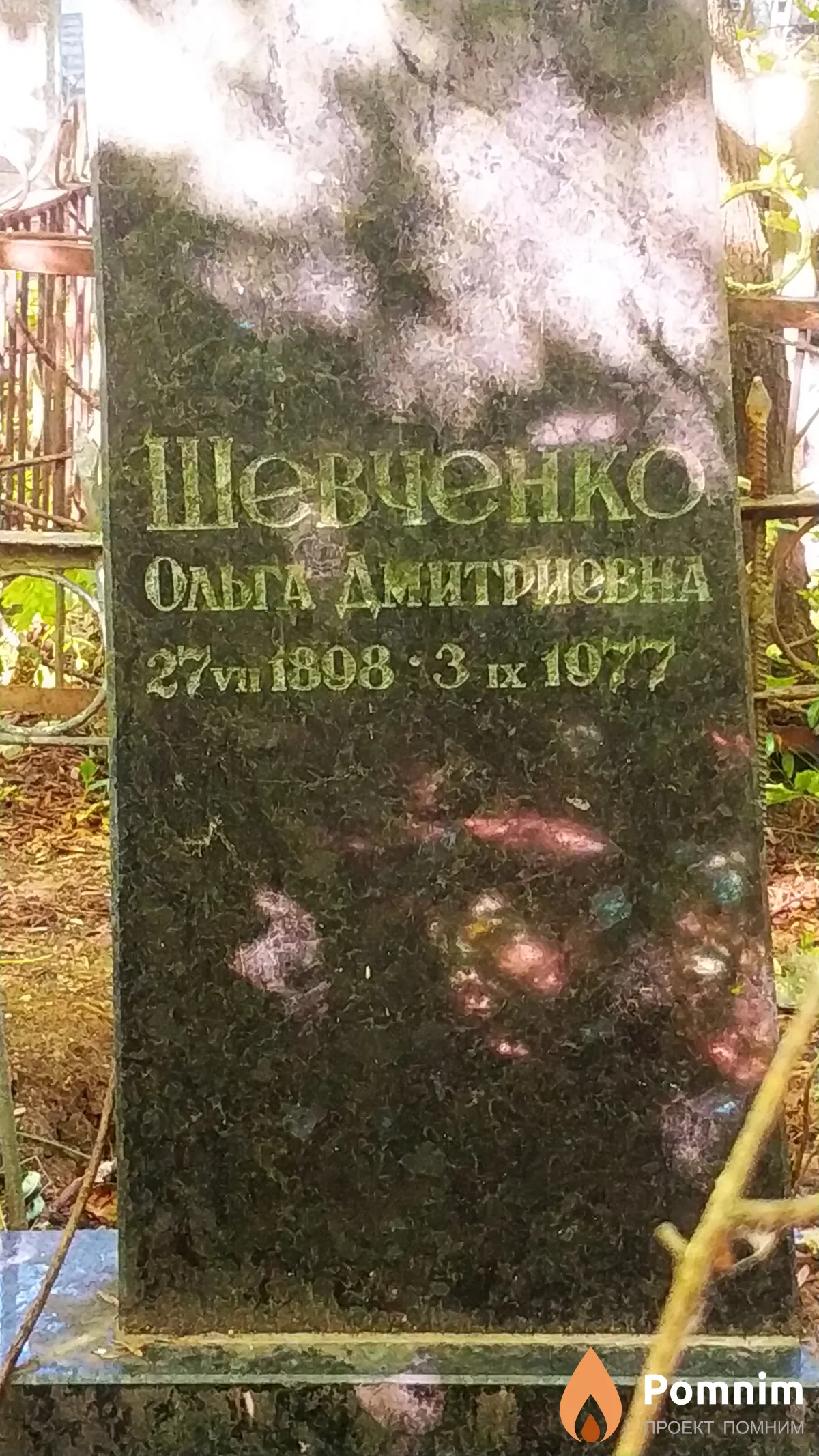 Шевченко Ольга Дмитриевна