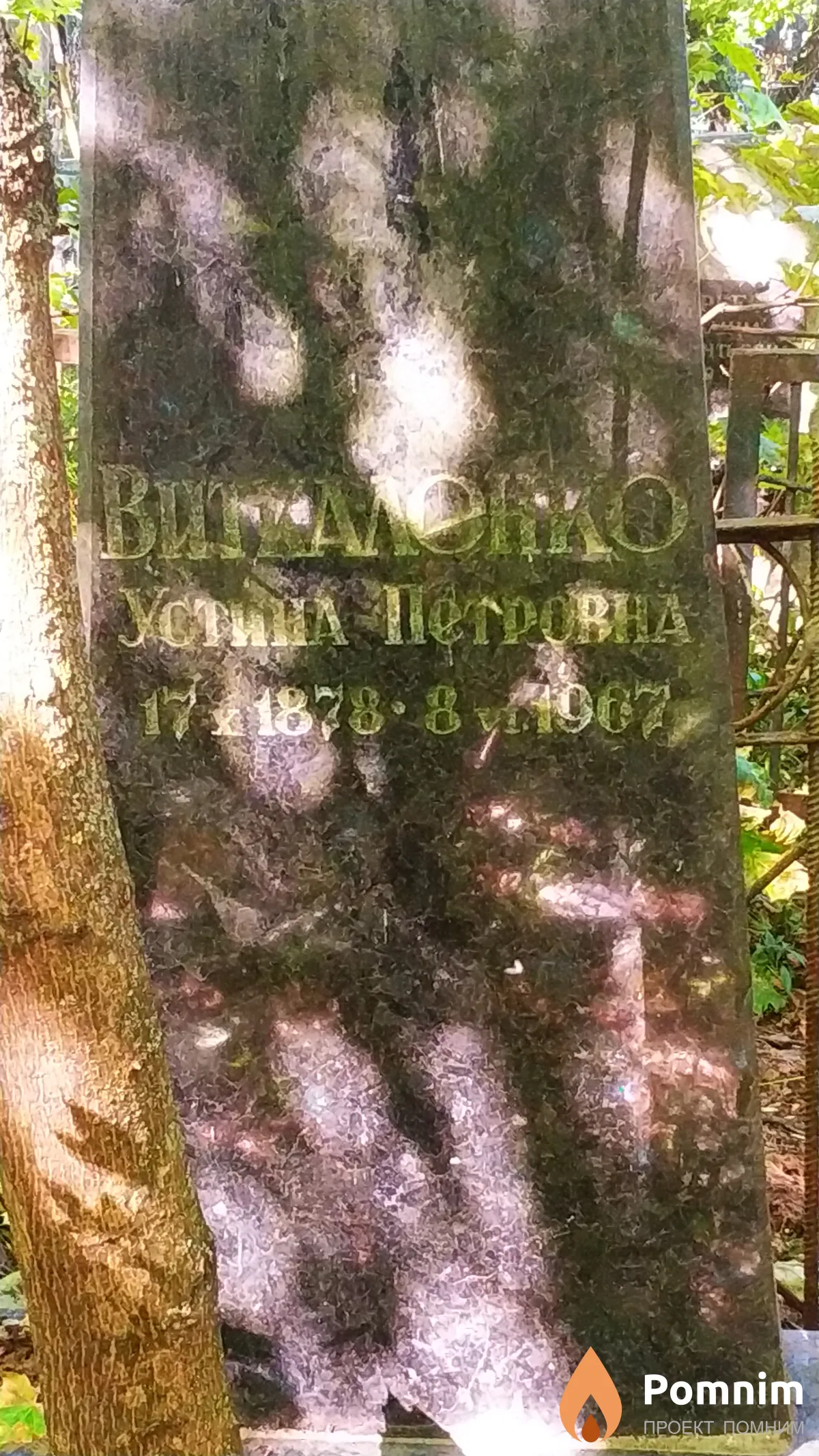 Виткаленко Устина Петровна