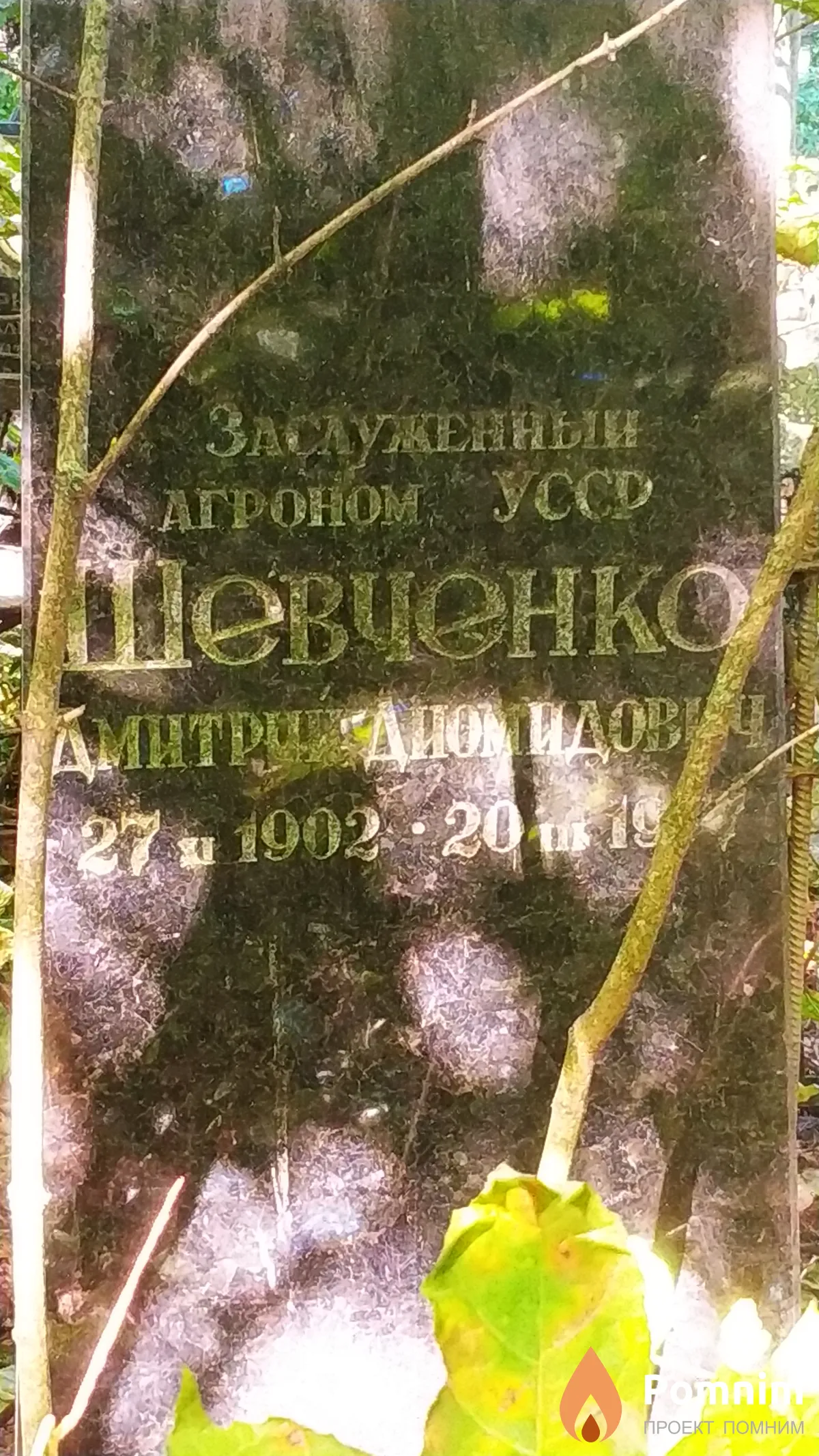 Шевченко Дмитрий Диомидович
