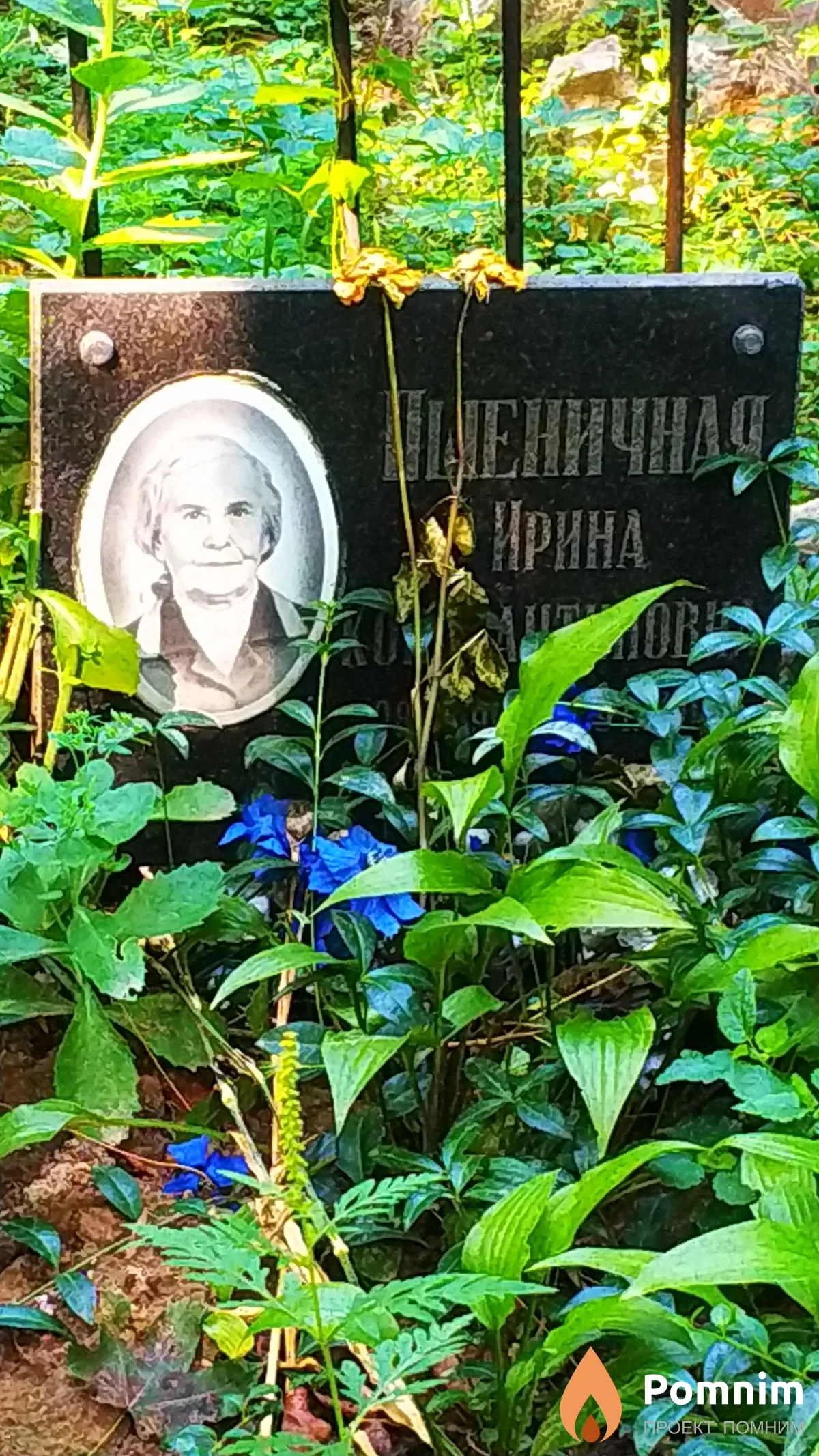 Пшеничная Ирина Константиновна