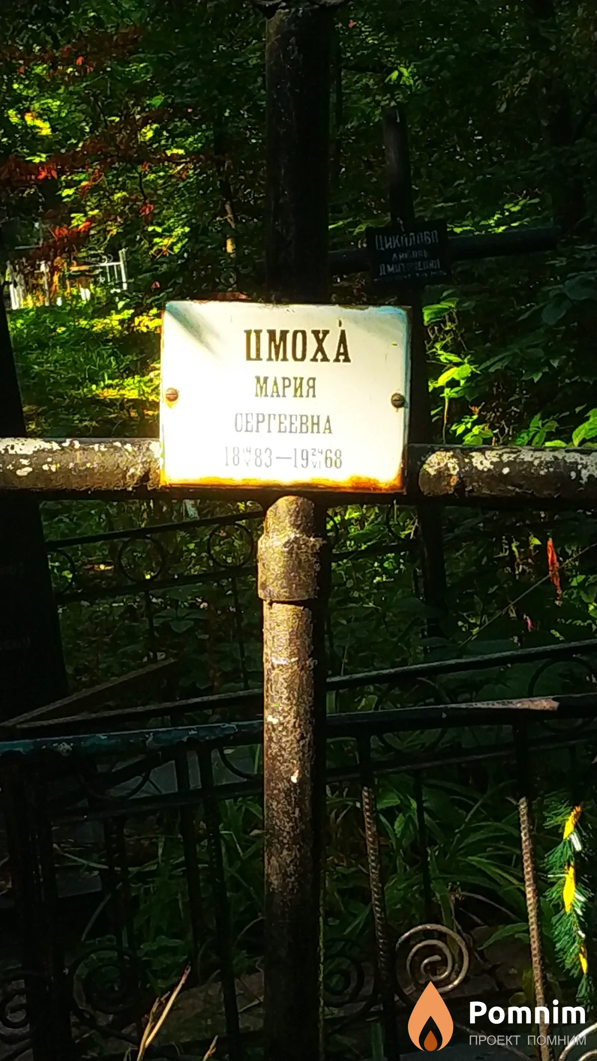 Цмоха Мария Сергеевна