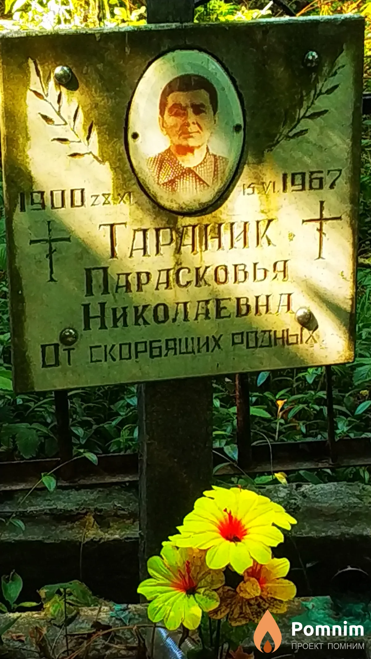 Тараник Парасковья Николаевна