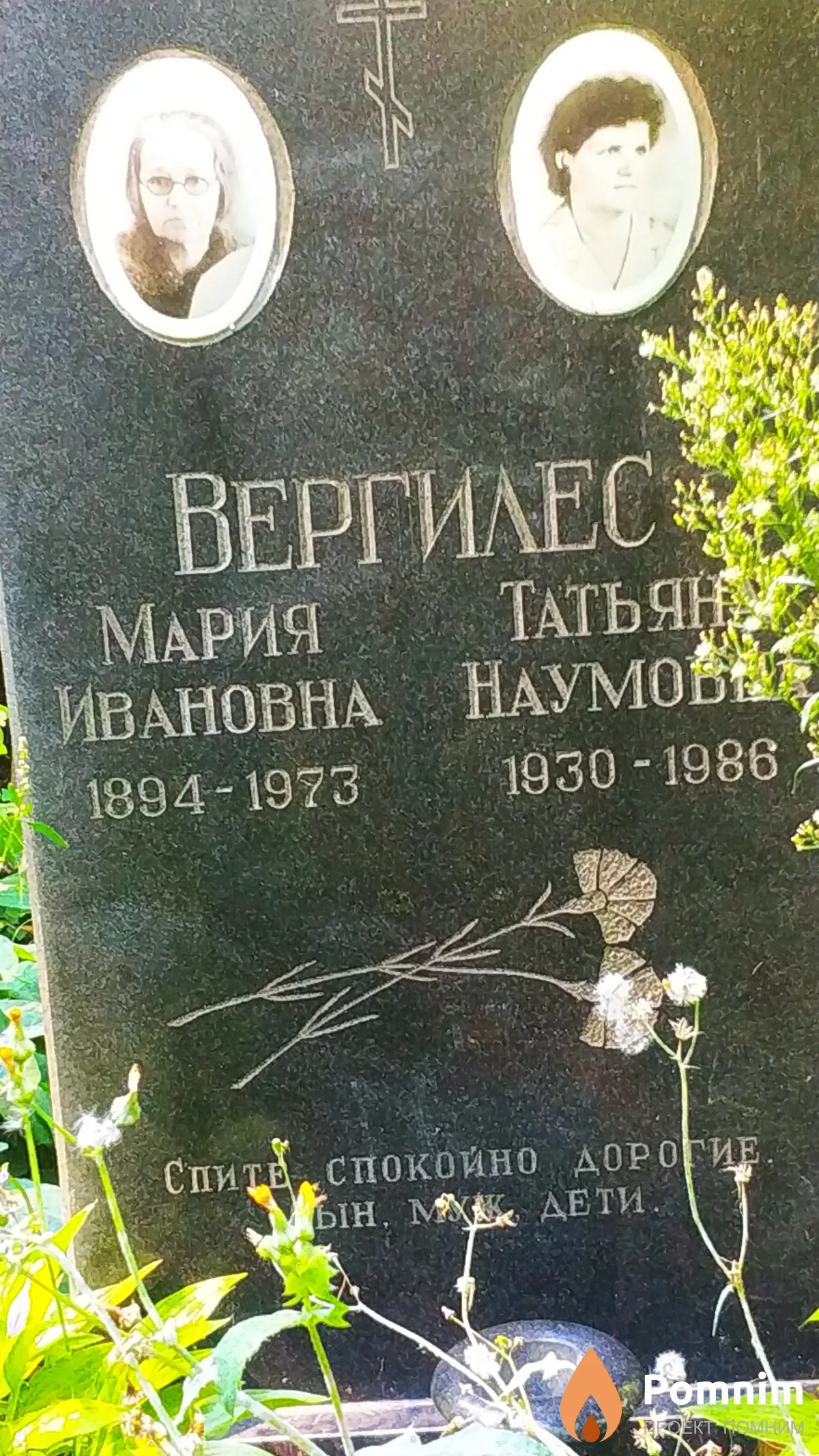 Вергилес Татьяна Наумовна