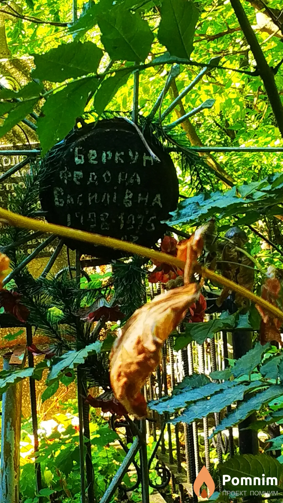 Беркун Федона Сисиливна