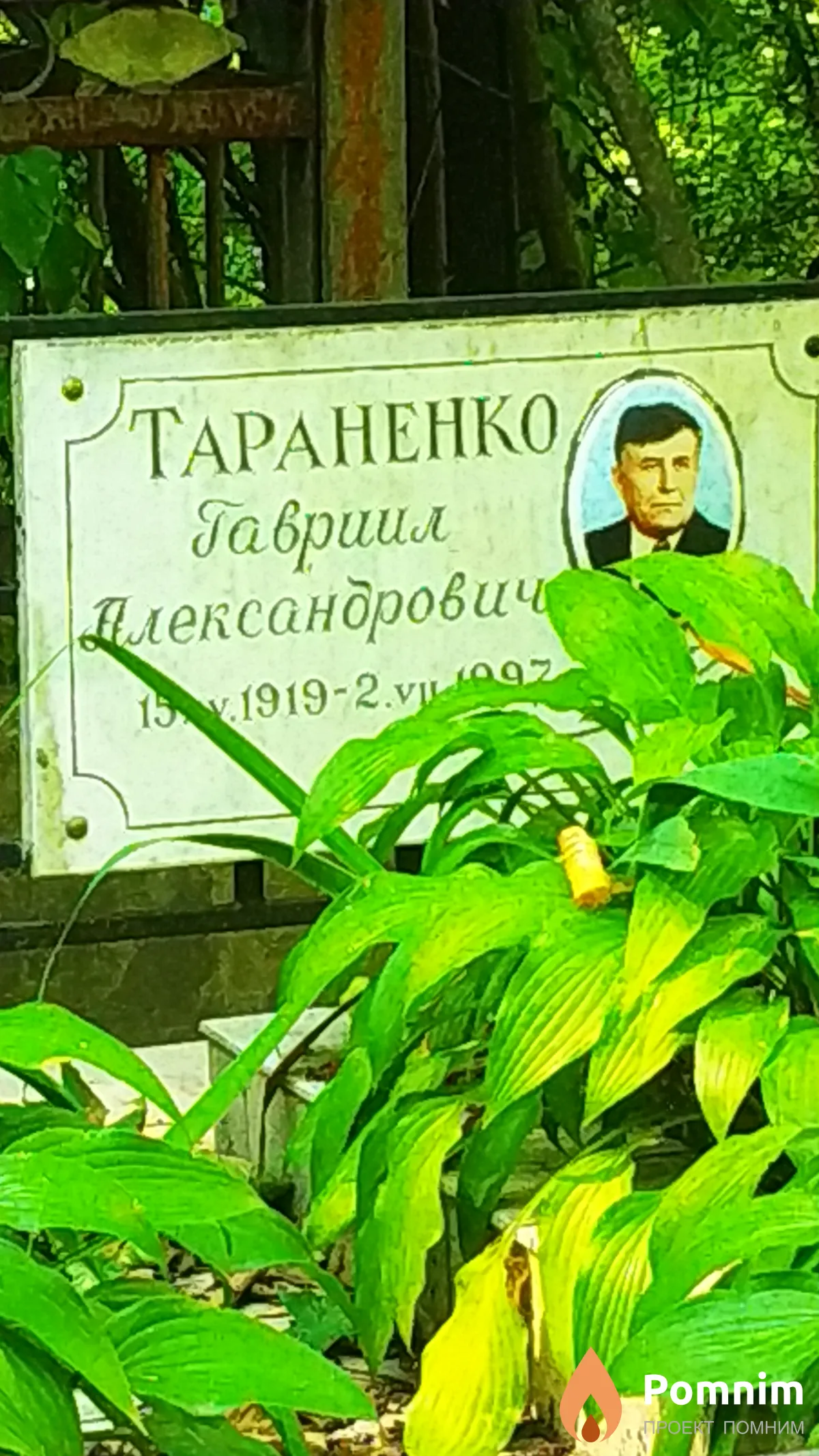 Тараненко Гавриил Александрович