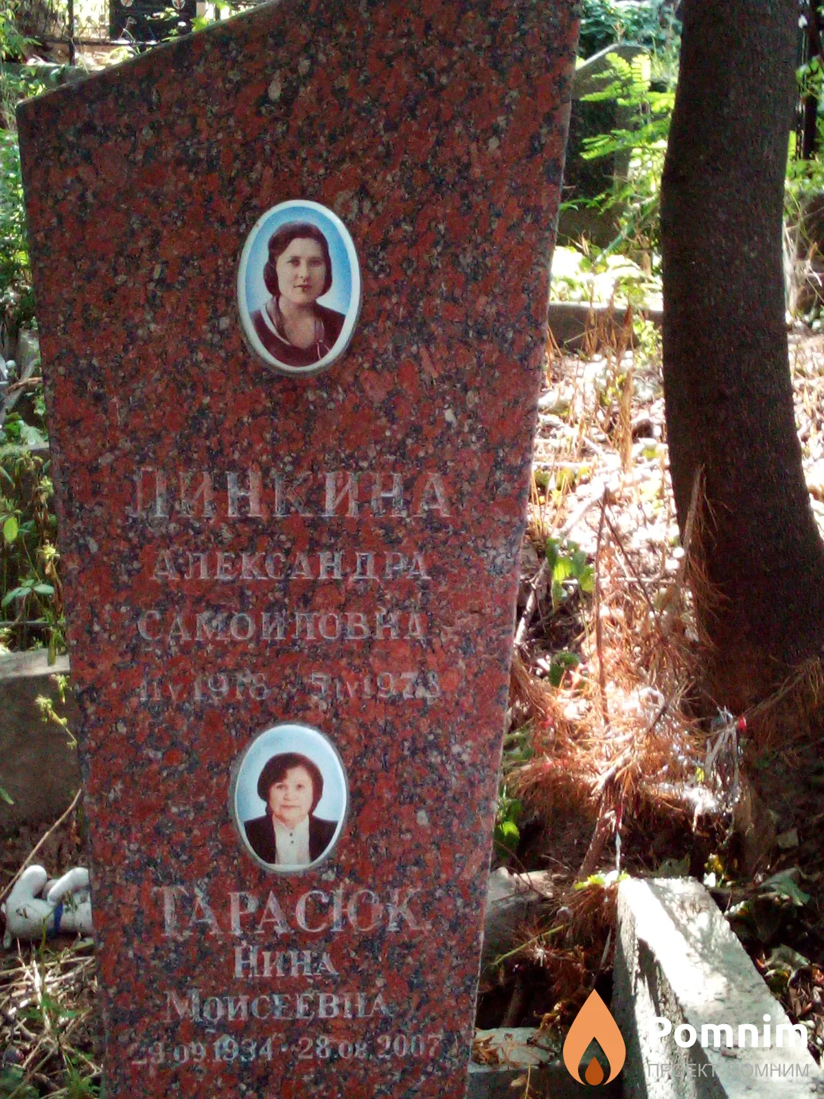 Тарасюк Нина Моисеевна
