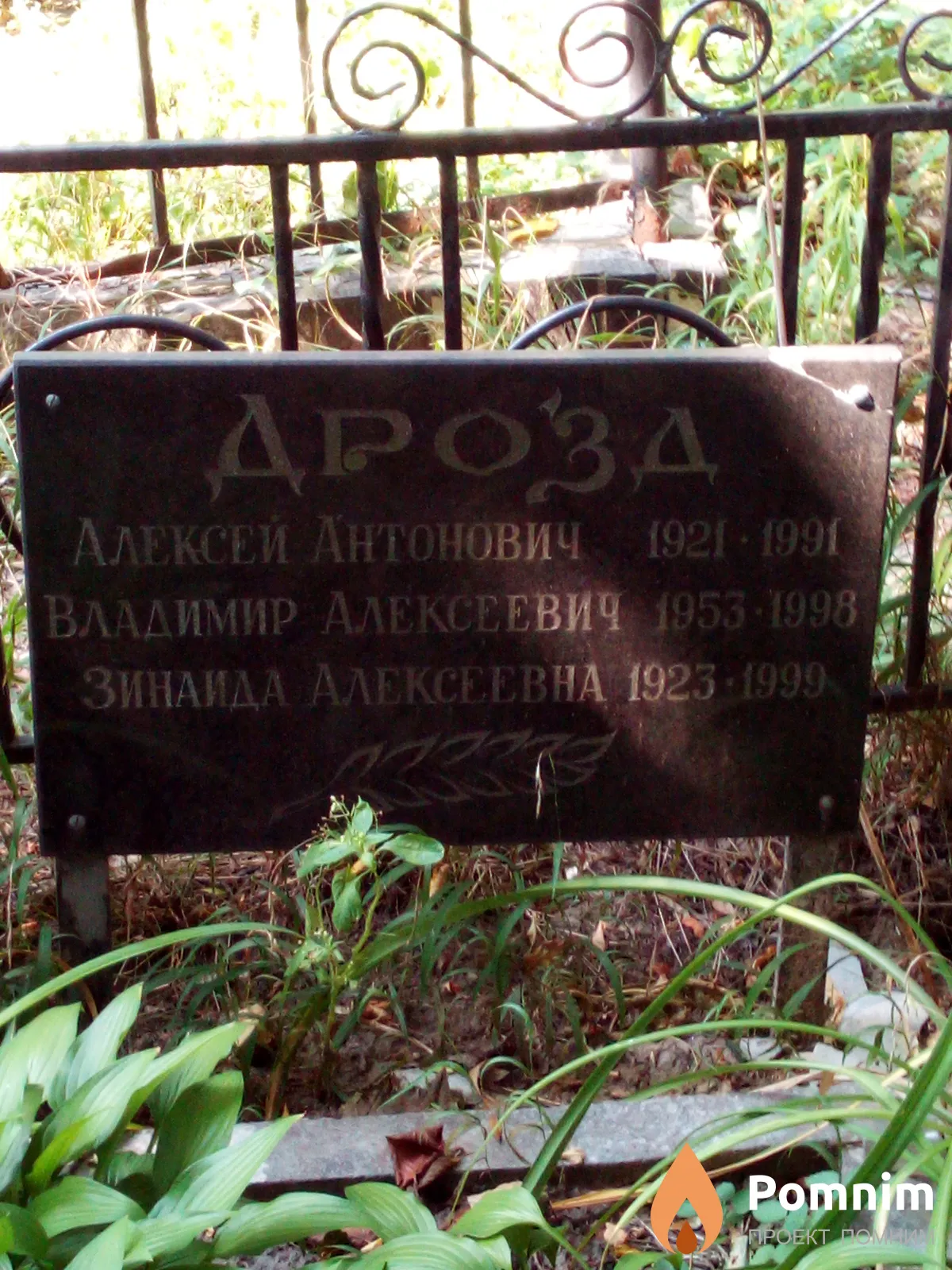 Дрозд Владимир Алексеевич