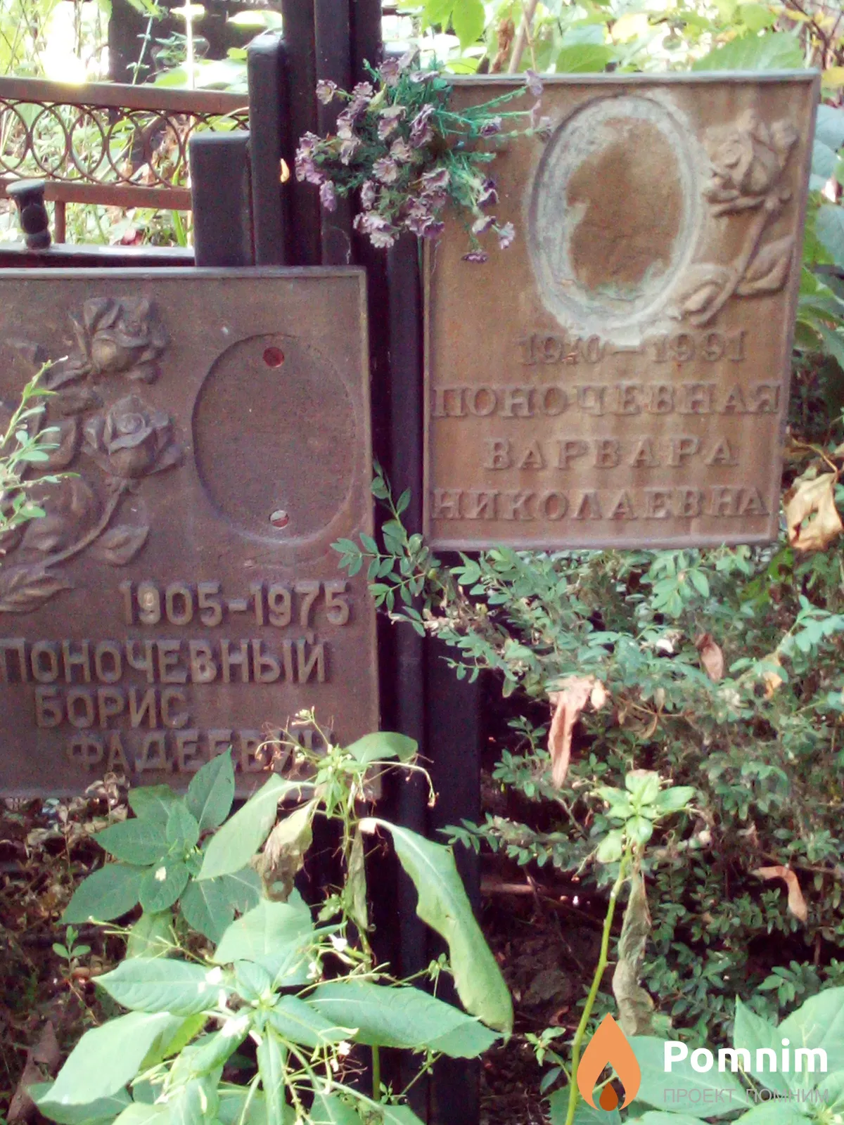 Поночевная Варвара Николаевна