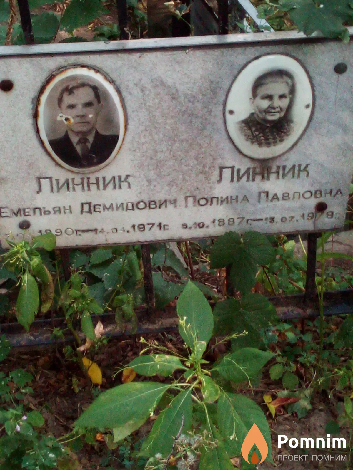 Линник Полина Павловна