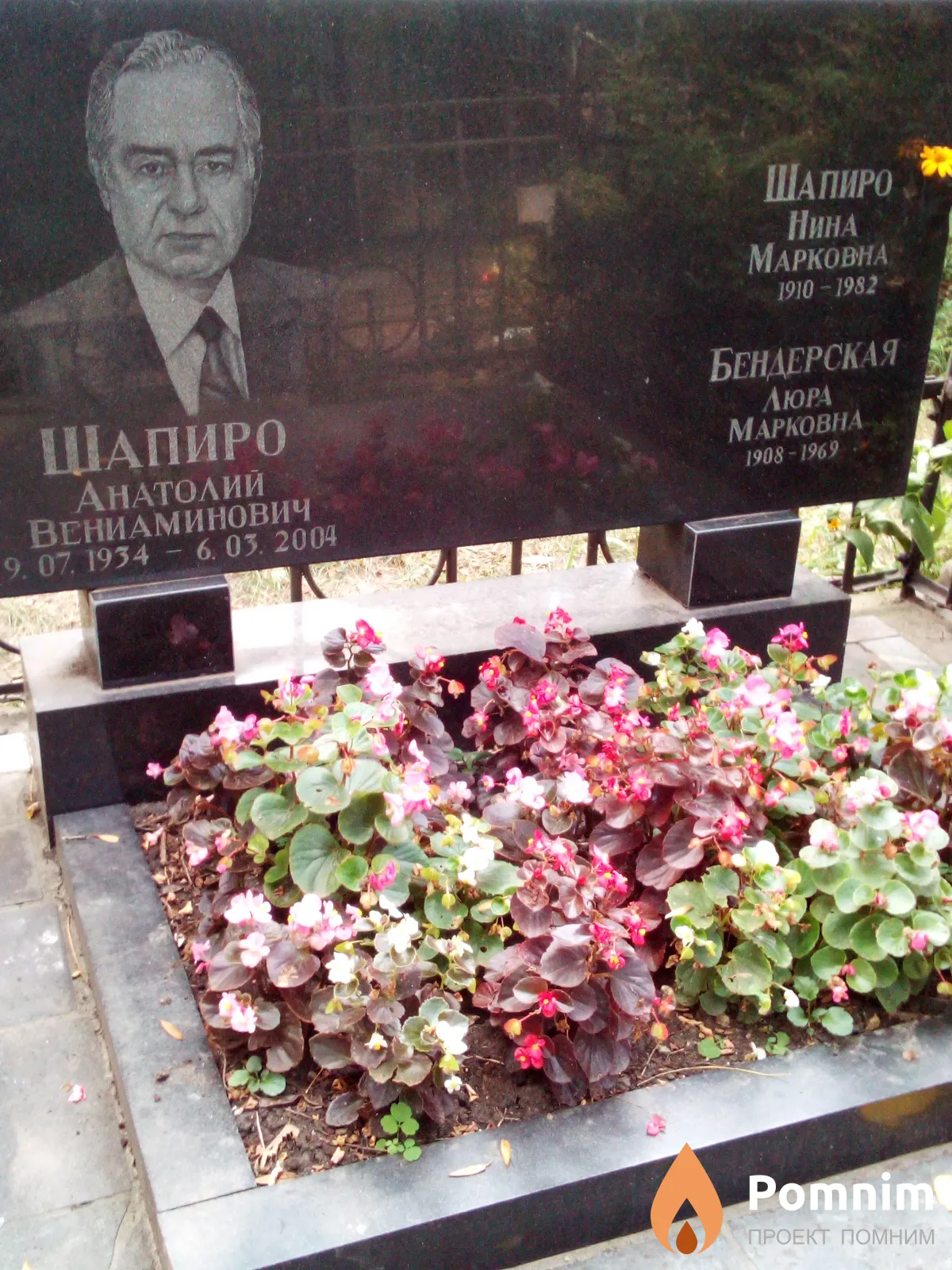 Шапиро Нина Марковна
