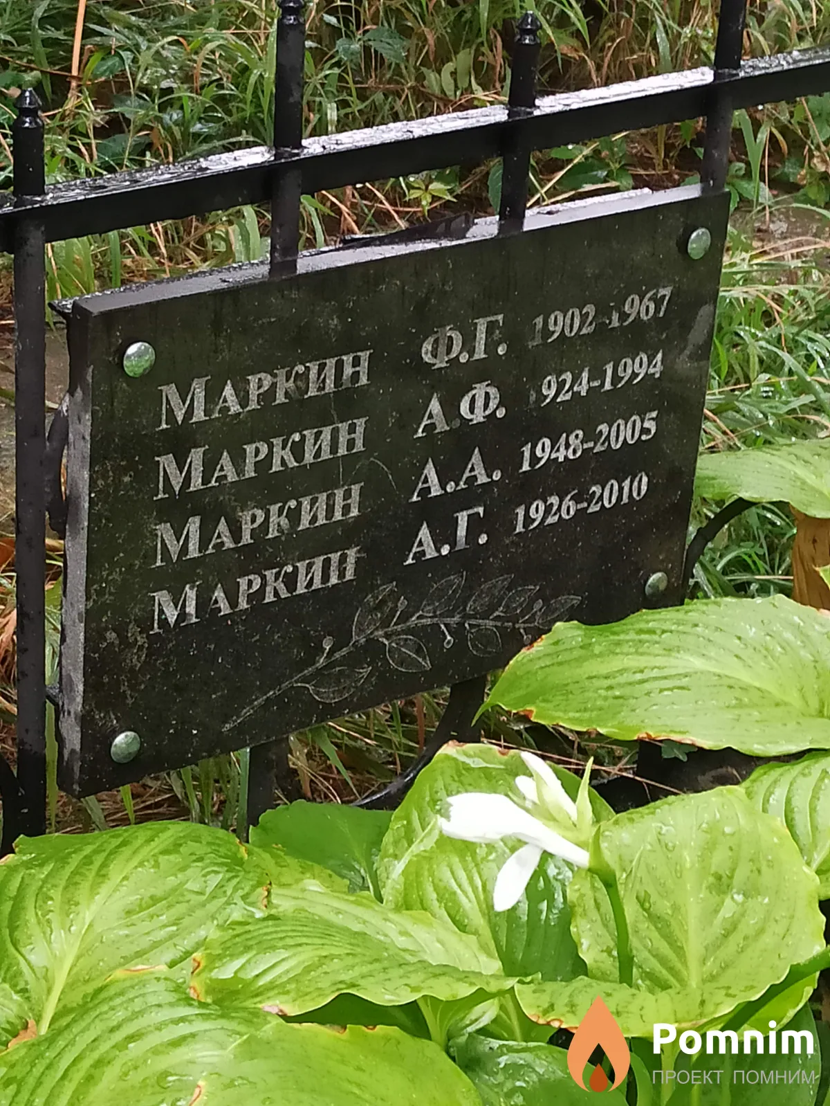 Маркин А. Ф.